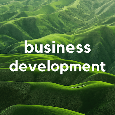 Biz Dev Role.png