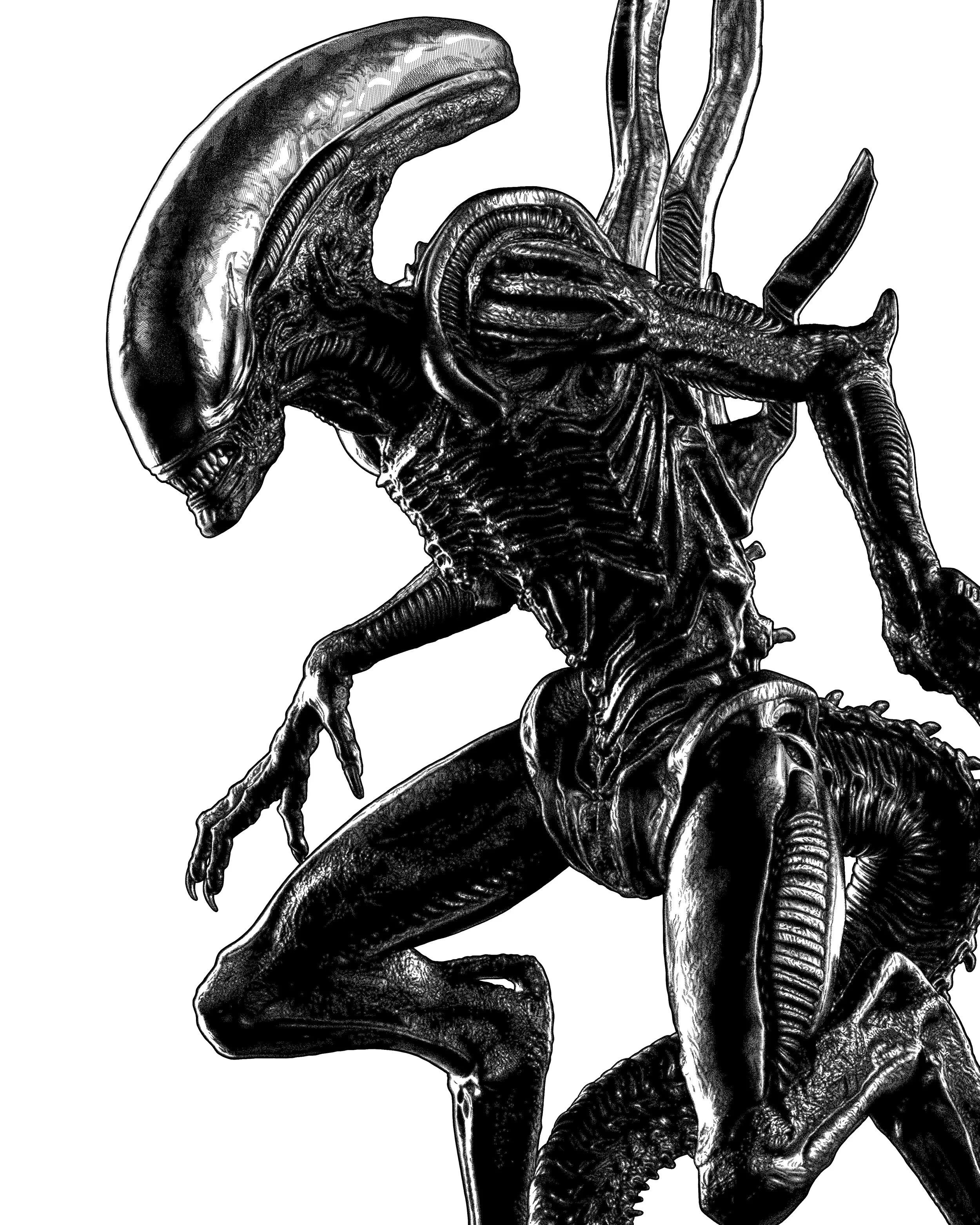 Xenomorph