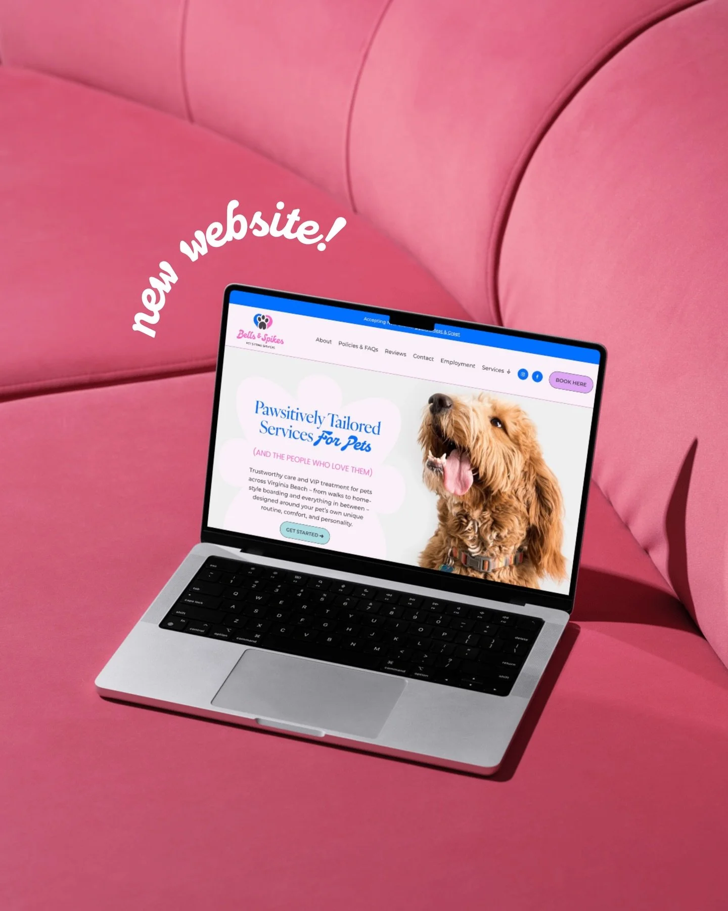 New look, same fun personality!🐾
 @bellsandspikes&rsquo; new playful, colorful website is now LIVE.🌈🪩

Bells &amp; Spikes offer a full range of pet care services in Virginia Beach including walks, home-style boarding, and everything in-between. If