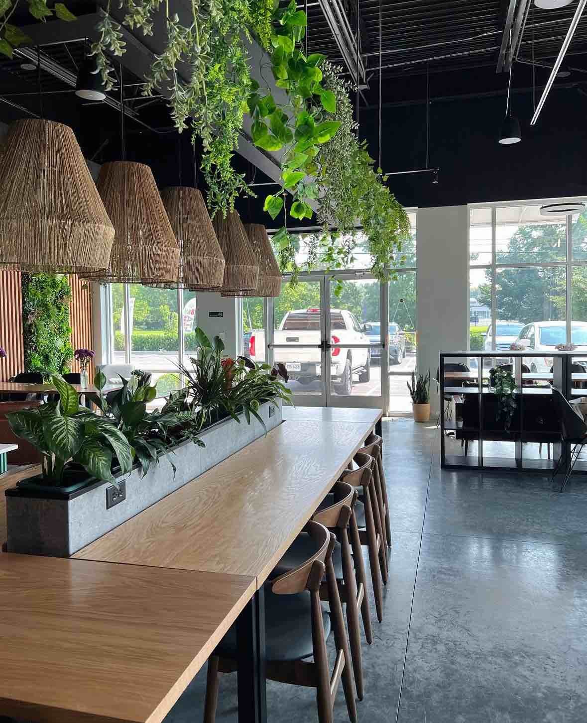 Coffee shop with large table and hanging plants from ceiling
