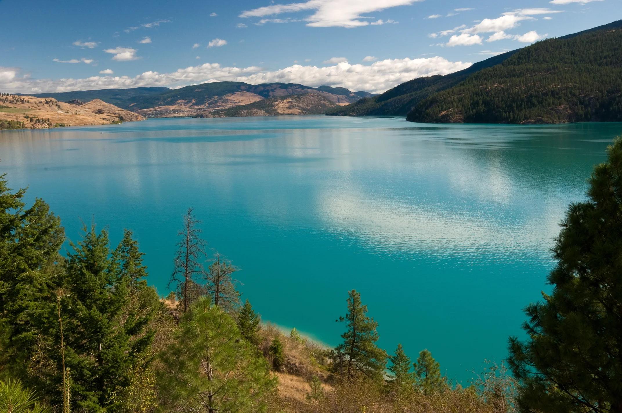 iStock-159024465.jpg