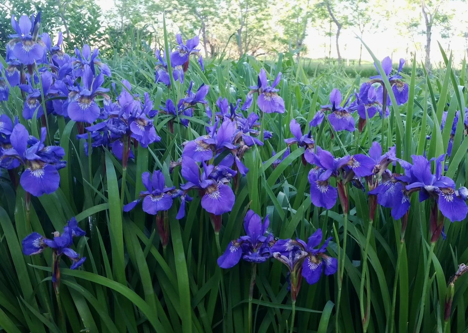 20160601_191234.jpg