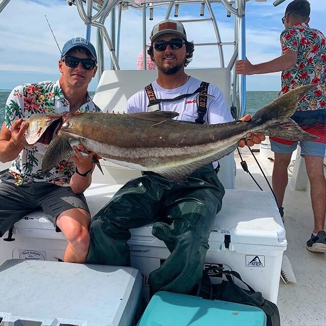 Caught this stud 53in fish on the bottom today and a bunch more come book a trip @reel_release_charters