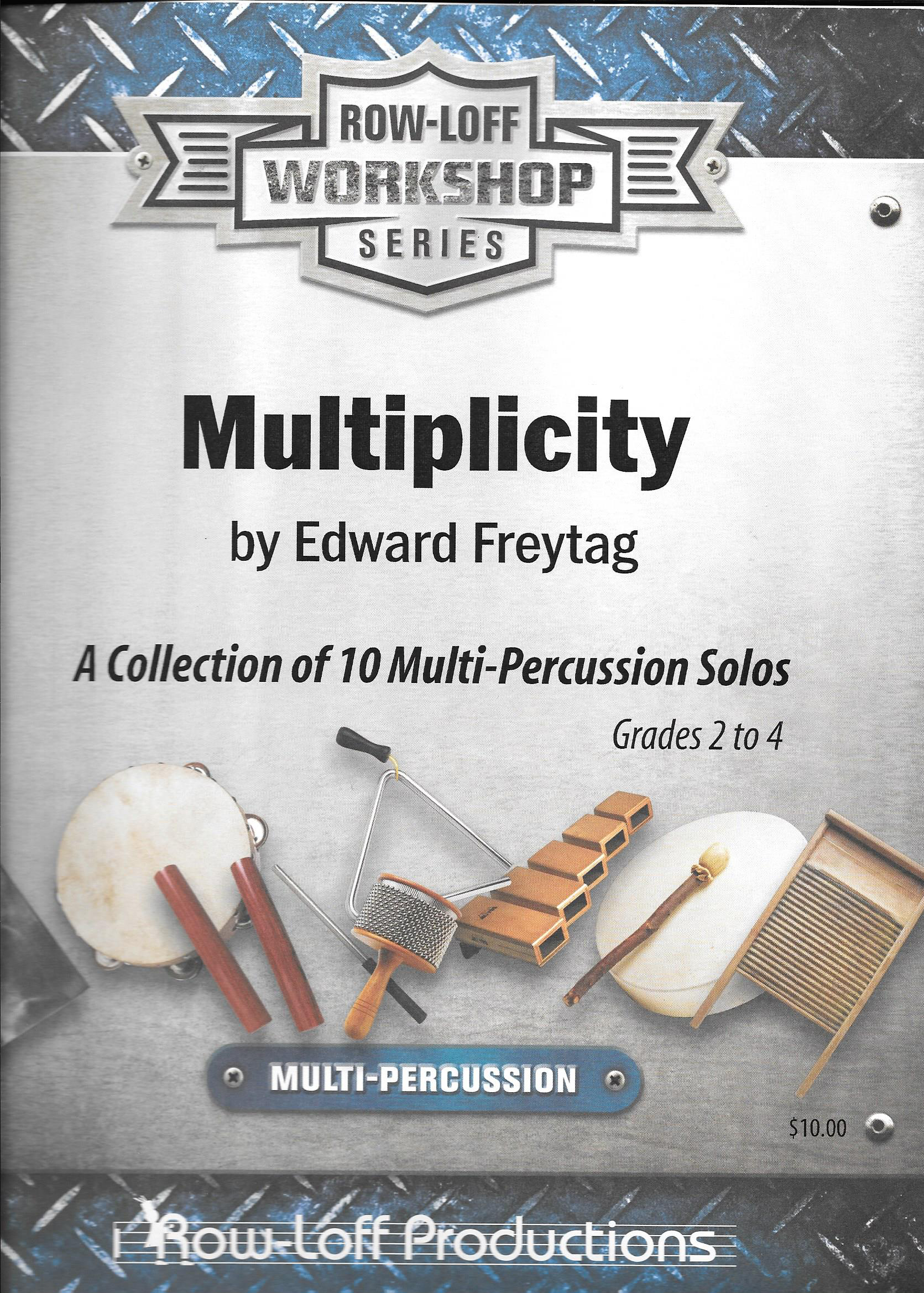 Multiplicity Cover 2013.jpg