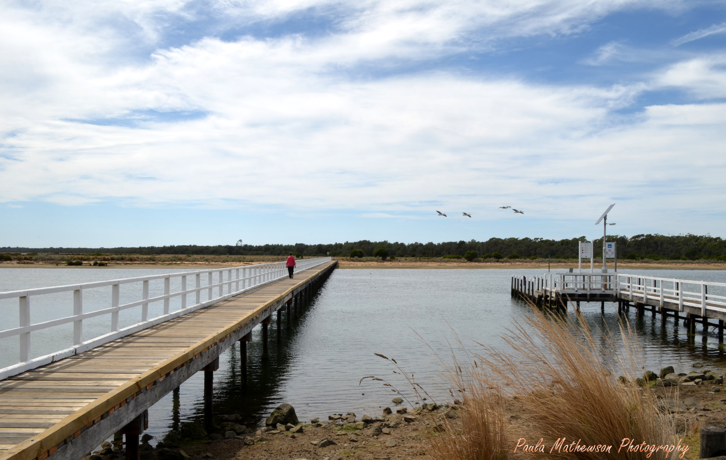 McLaughlin jetty copy.jpg