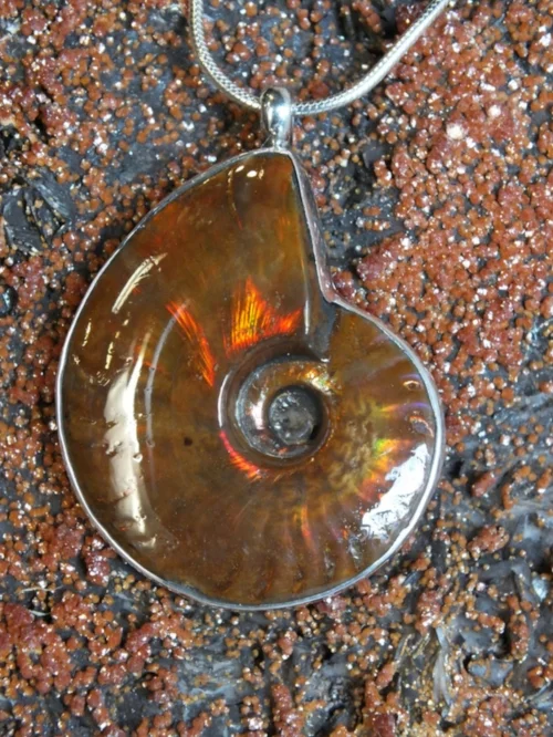 rfco snail.jpg