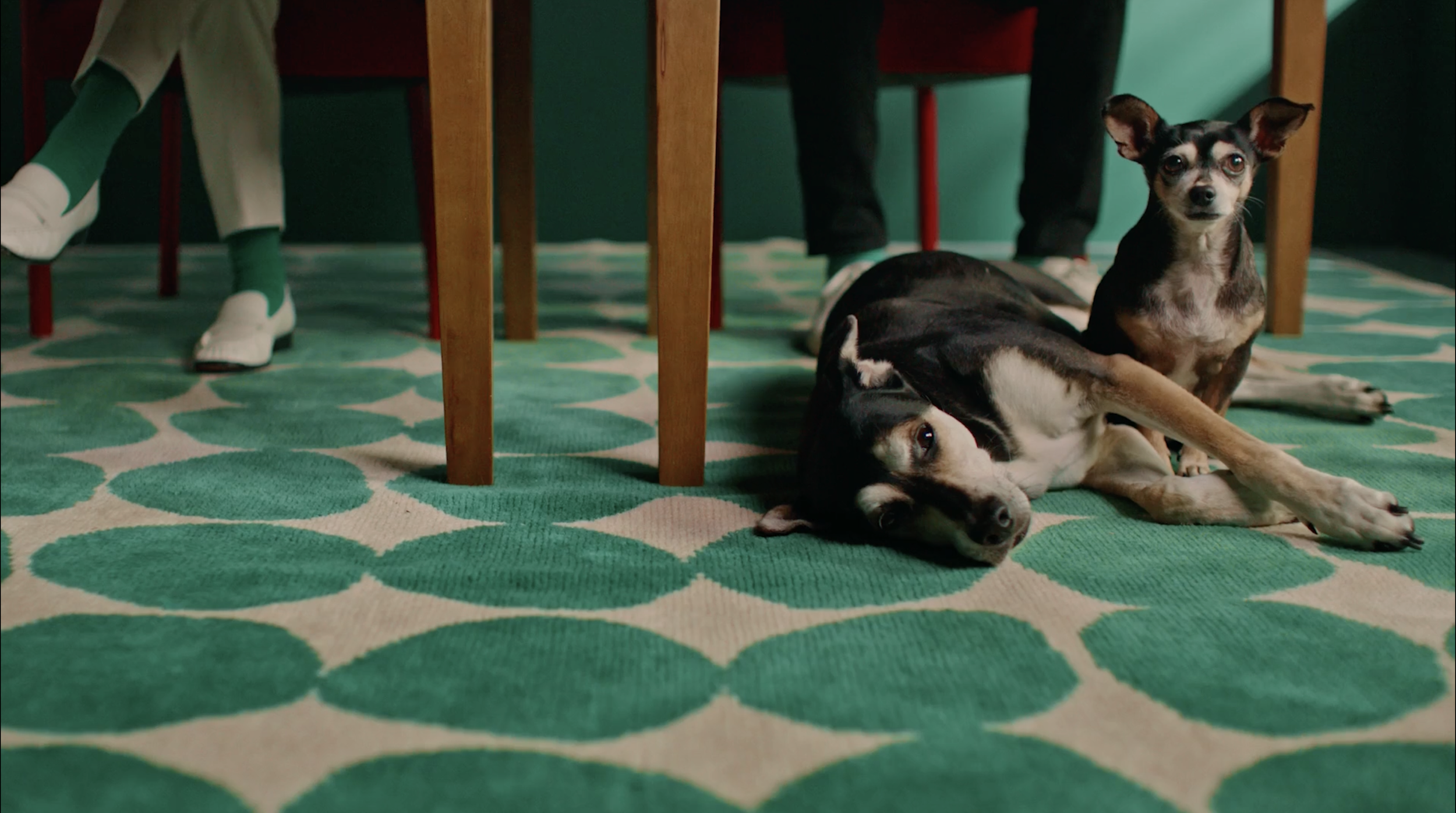 Adobe | A Very True Story