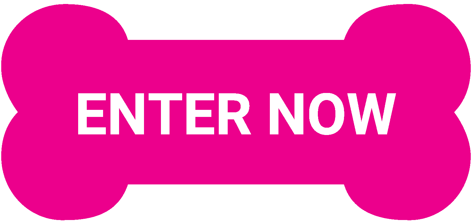 Tails & Trails button.png