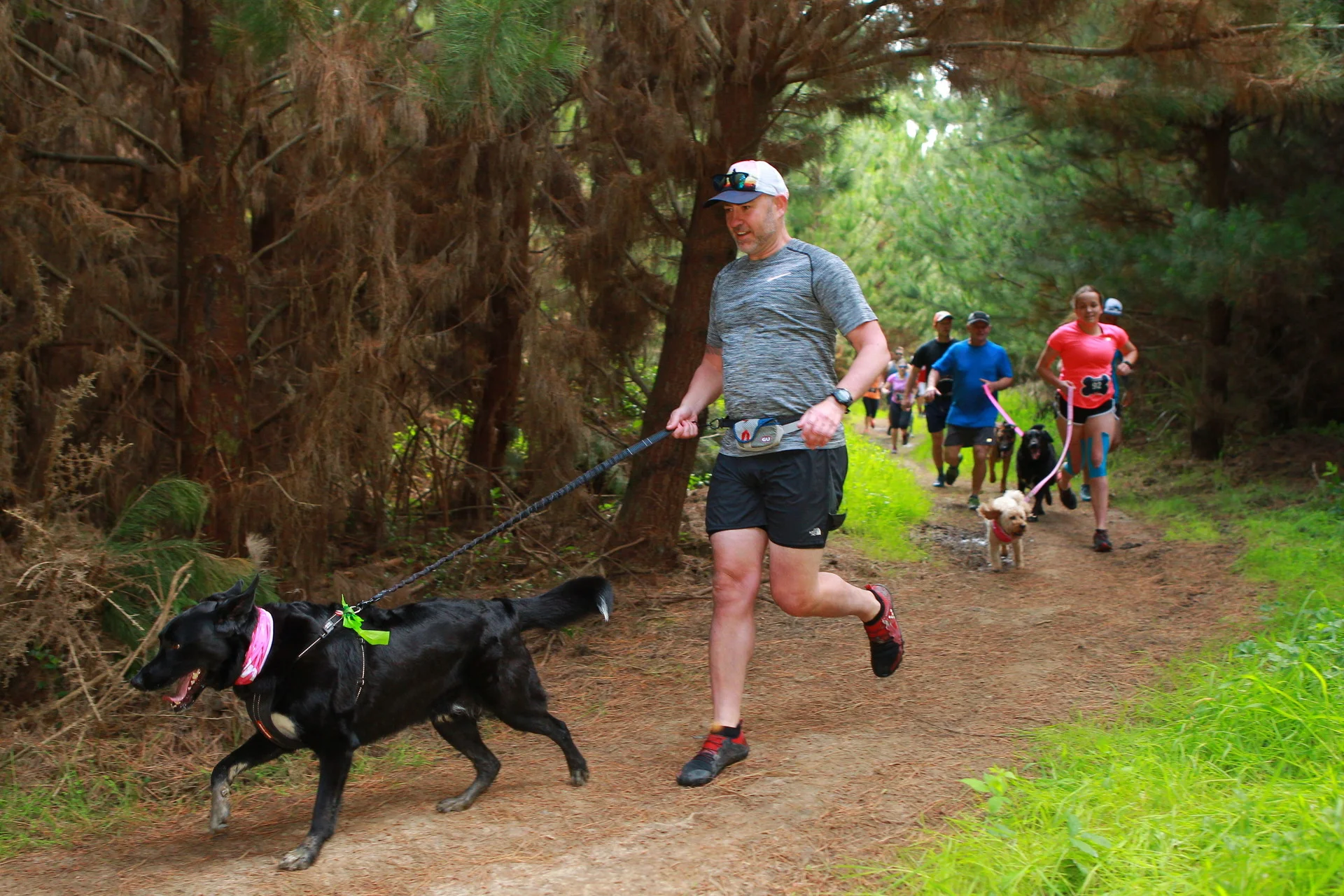 TAILS_AND_TRAILS_2018_000090.jpg