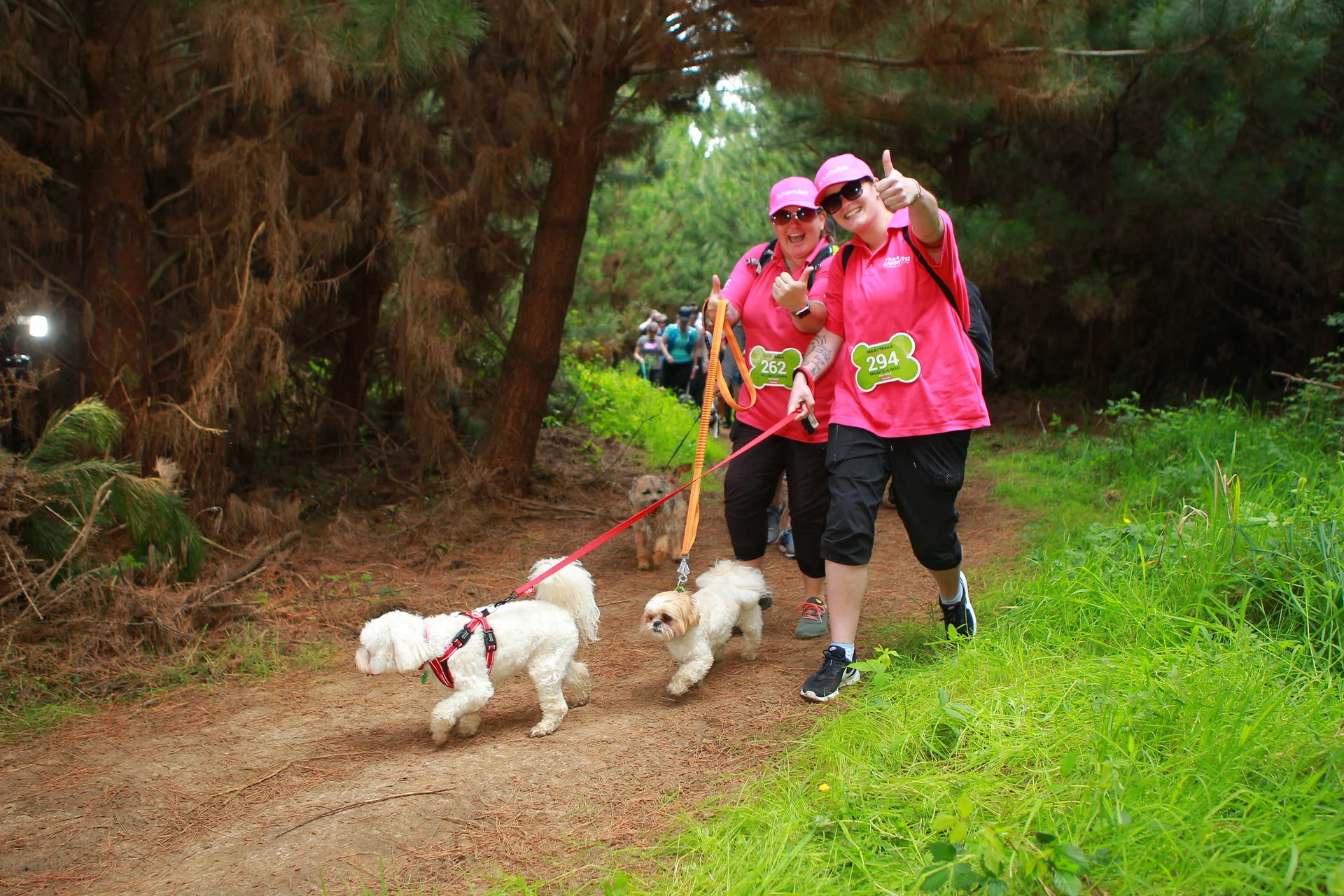 TAILS_AND_TRAILS_2018_000260.jpg