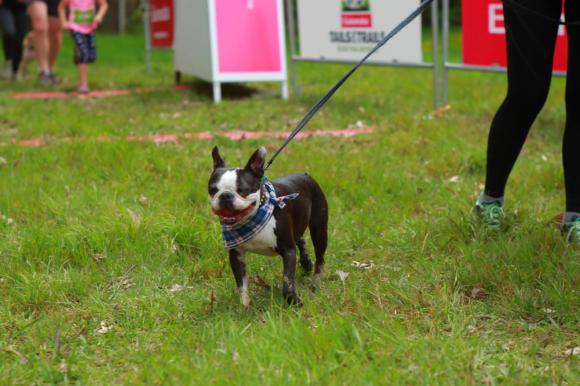 TAILS_AND_TRAILS_2018_000606.jpg