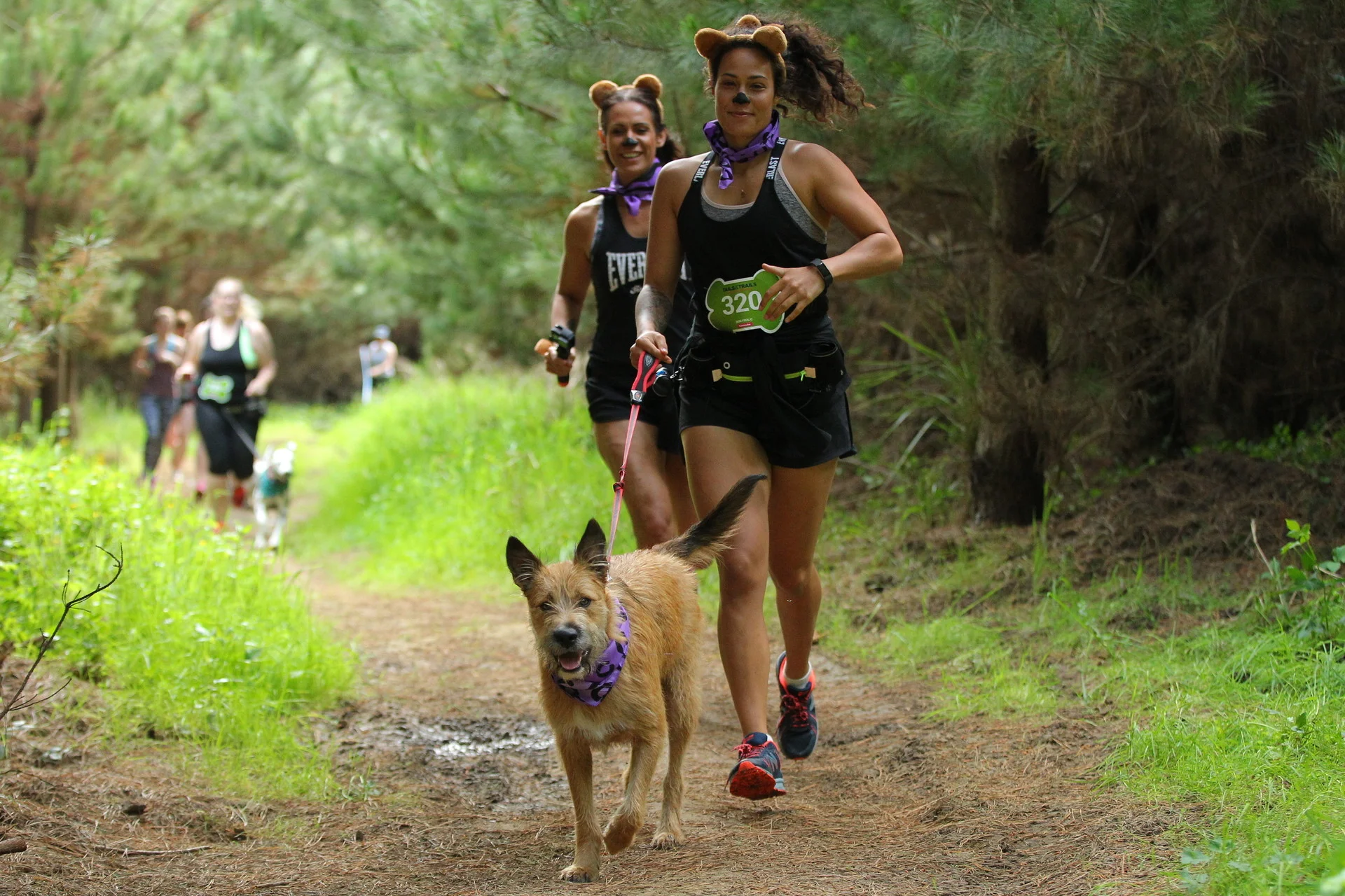 TAILS_AND_TRAILS_2018_000981.jpg