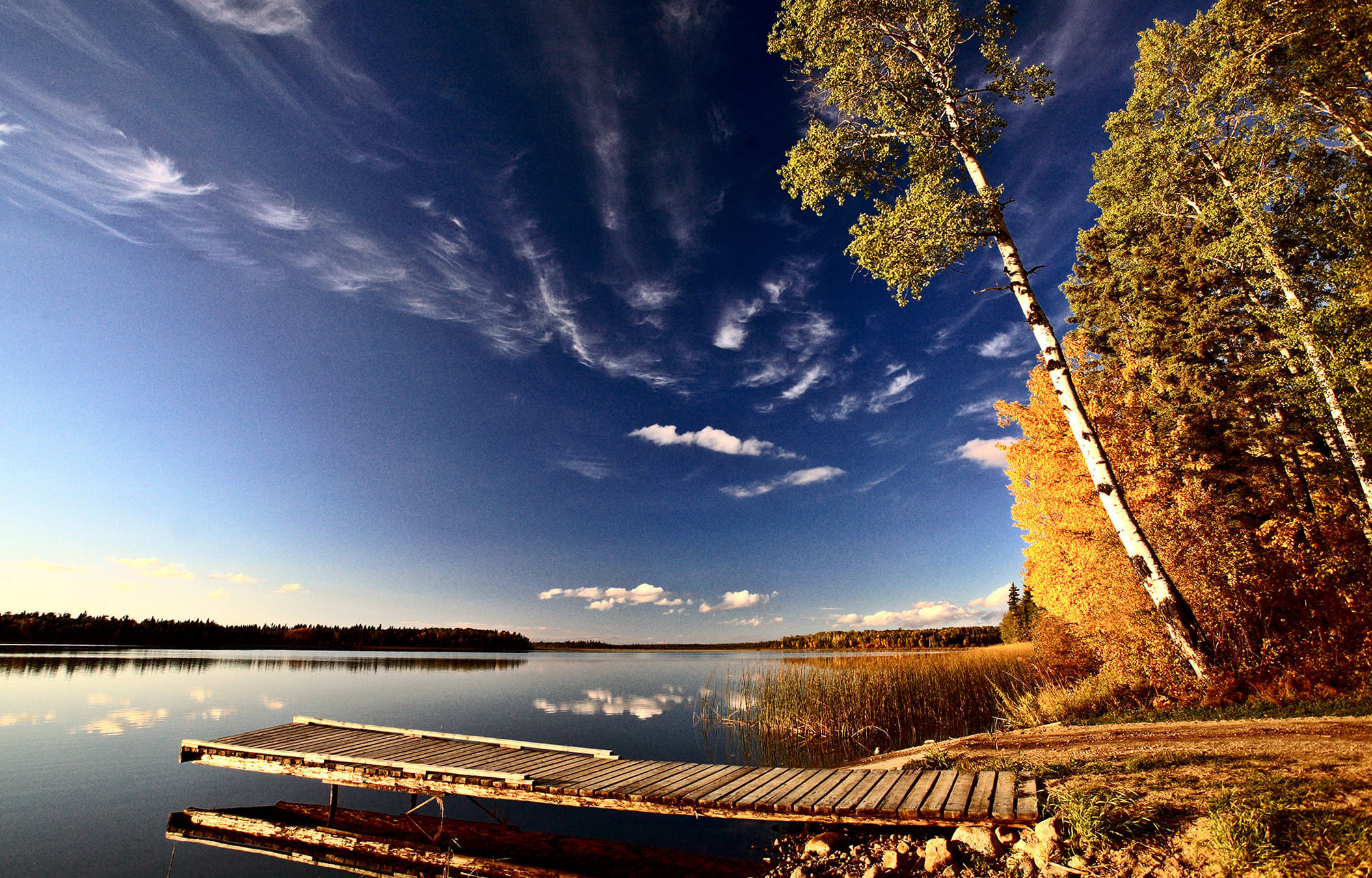 nhcp-homepage-header.jpg
