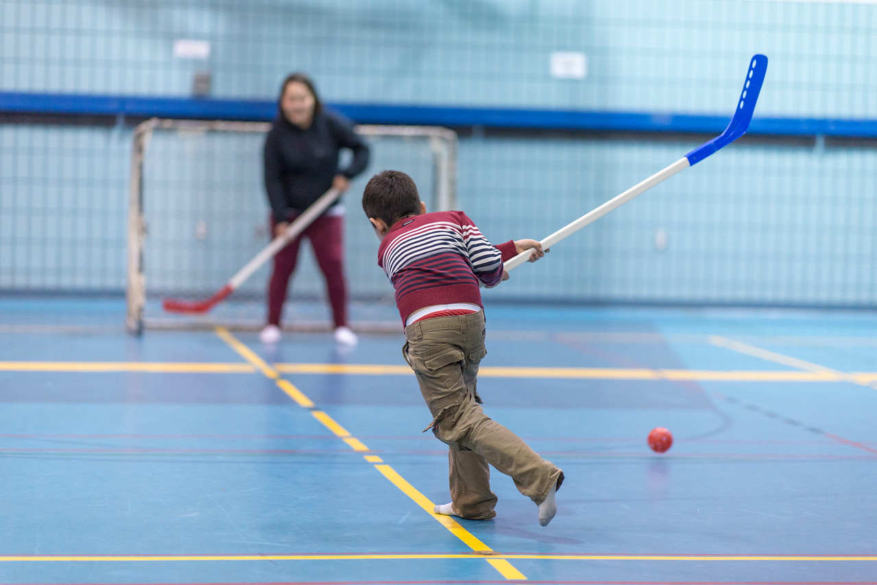 indoor-hockey.jpg