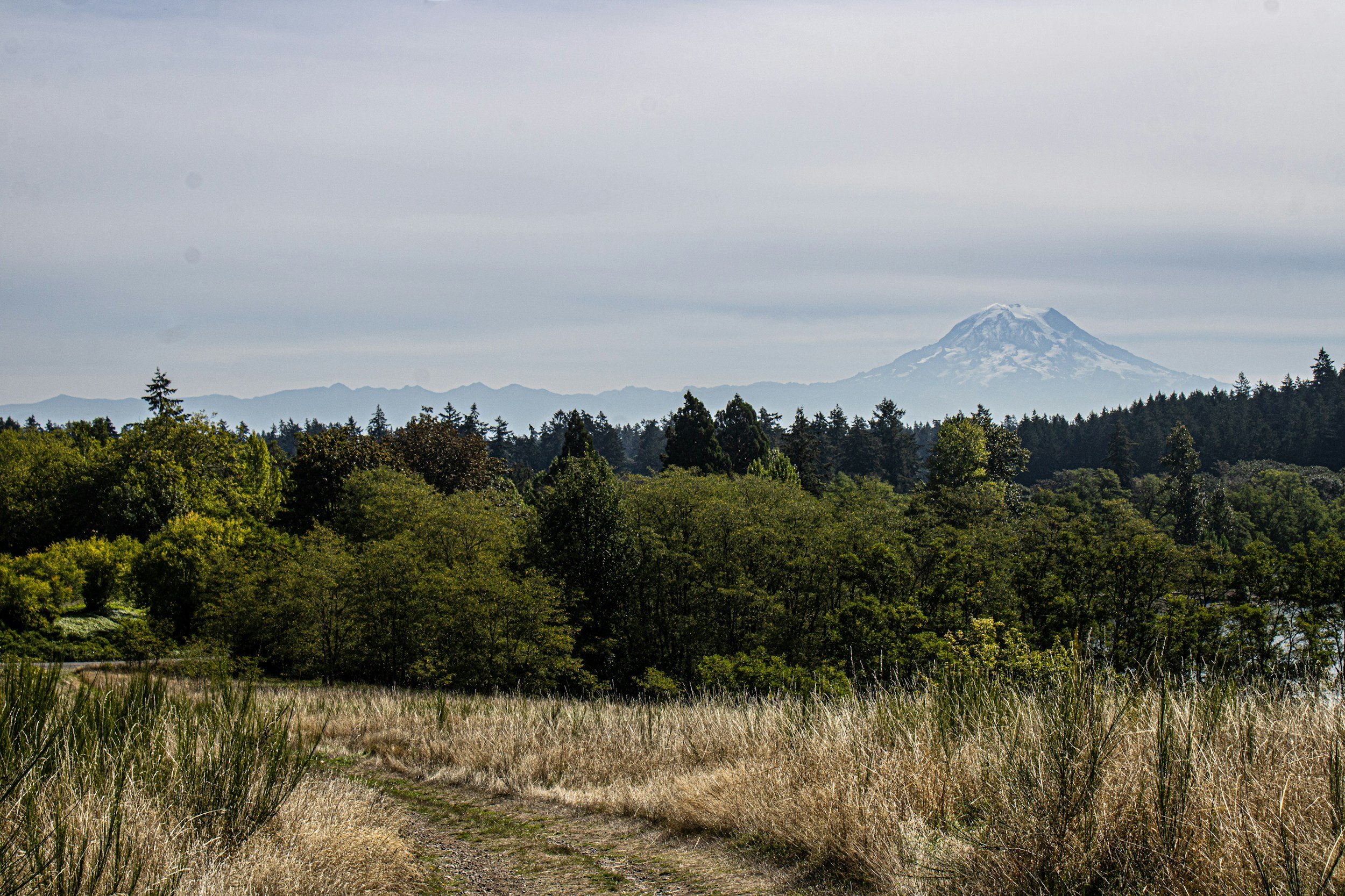 unsplash-image-KCQ_E5pnLmk.jpg