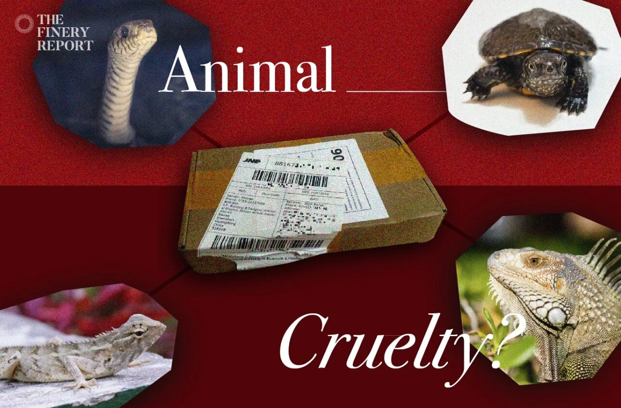 Should e-commerce allow animal trading?