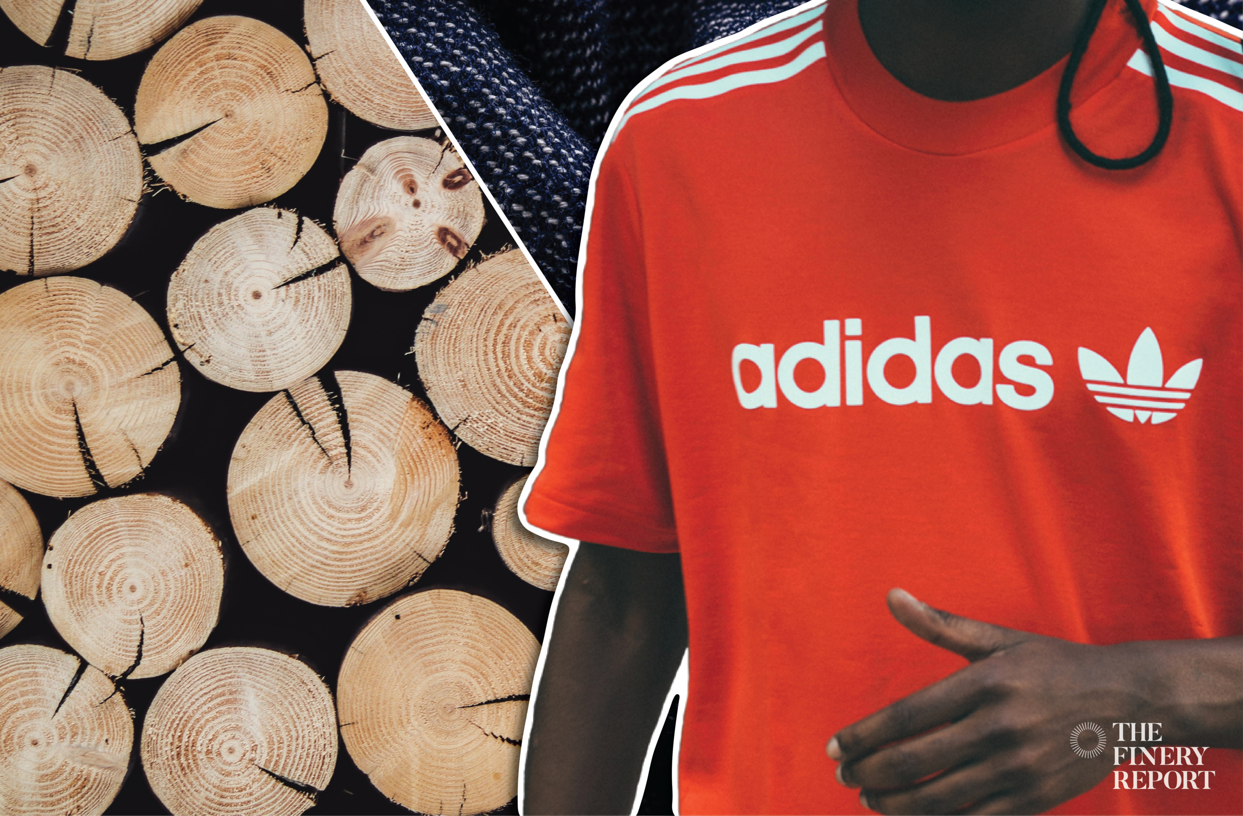 Adidas invests in Spinnova, a sustainable fiber company