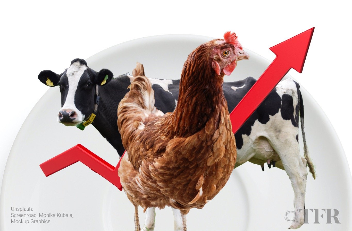 UNESCO report: the challenges faced by creative and cultural industries, strategies to recover