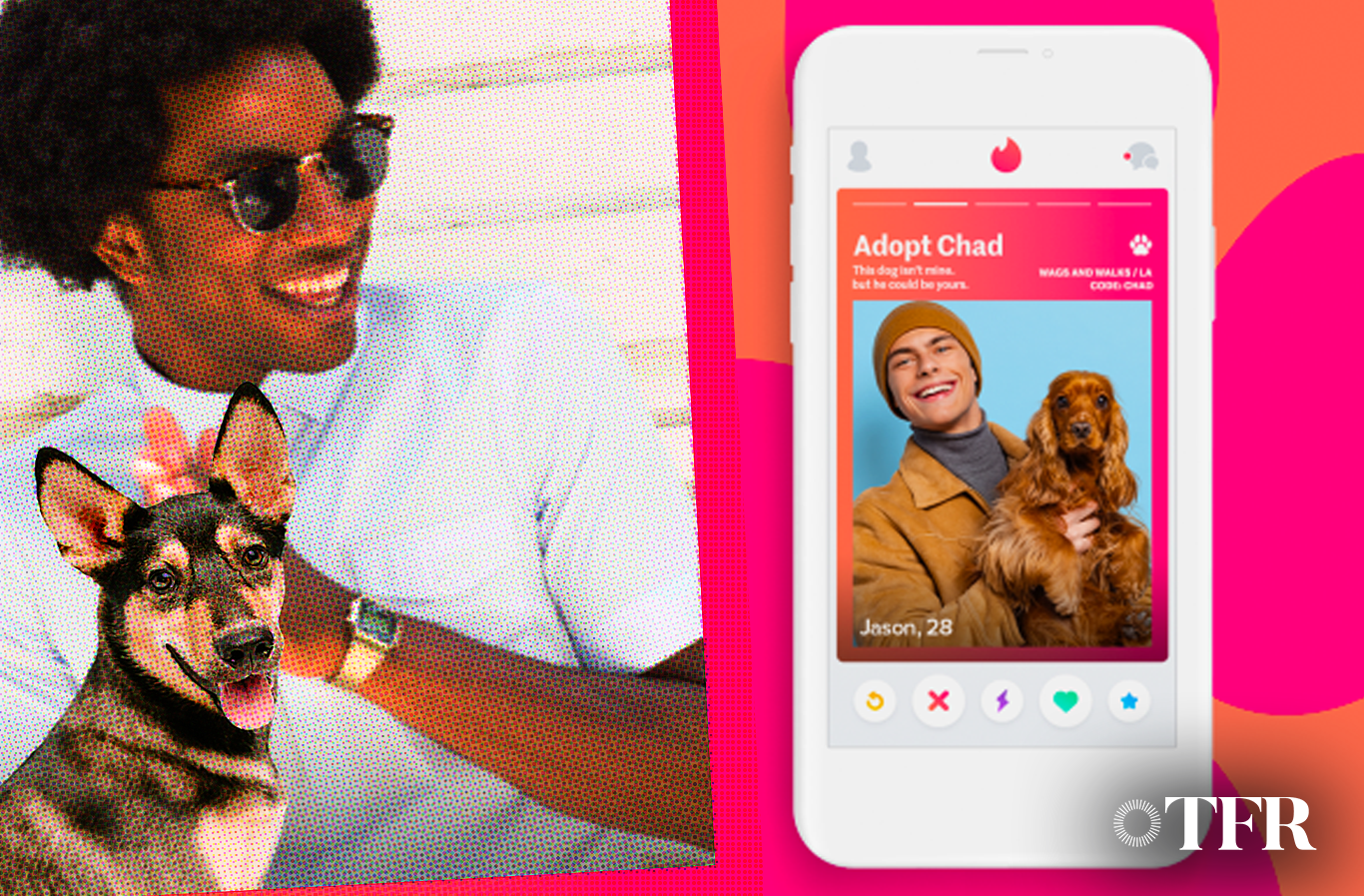 Merayakan National Dog Week, Tinder ingin memberikan rumah baru bagi para anjing
