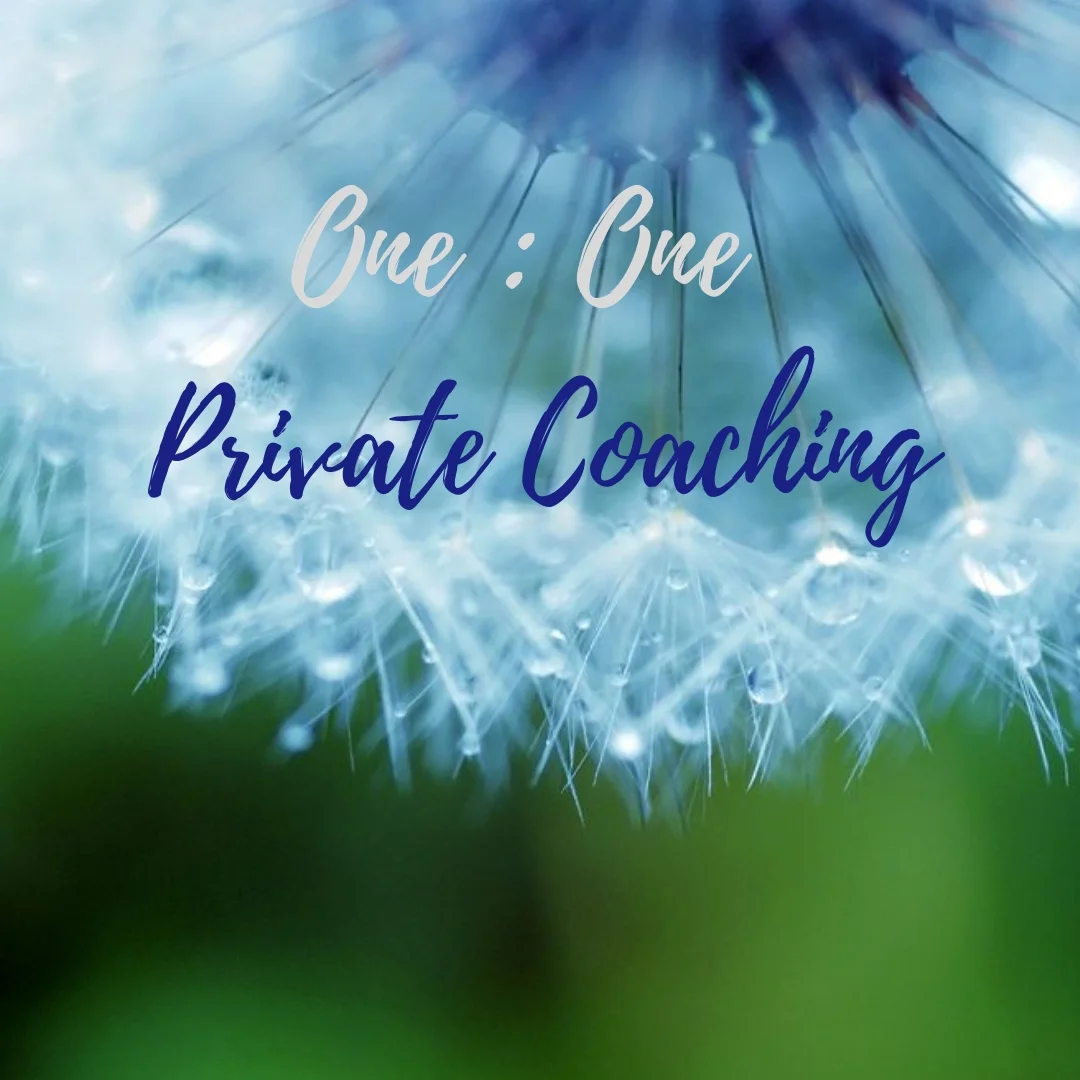 One On One Private Coaching