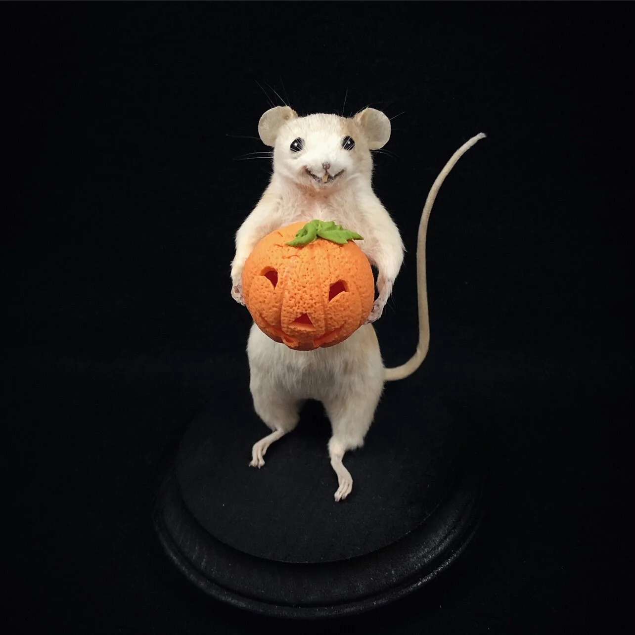 E6E97E07-E3BE-48D8-B4E2-548C29C8D54F.JPG