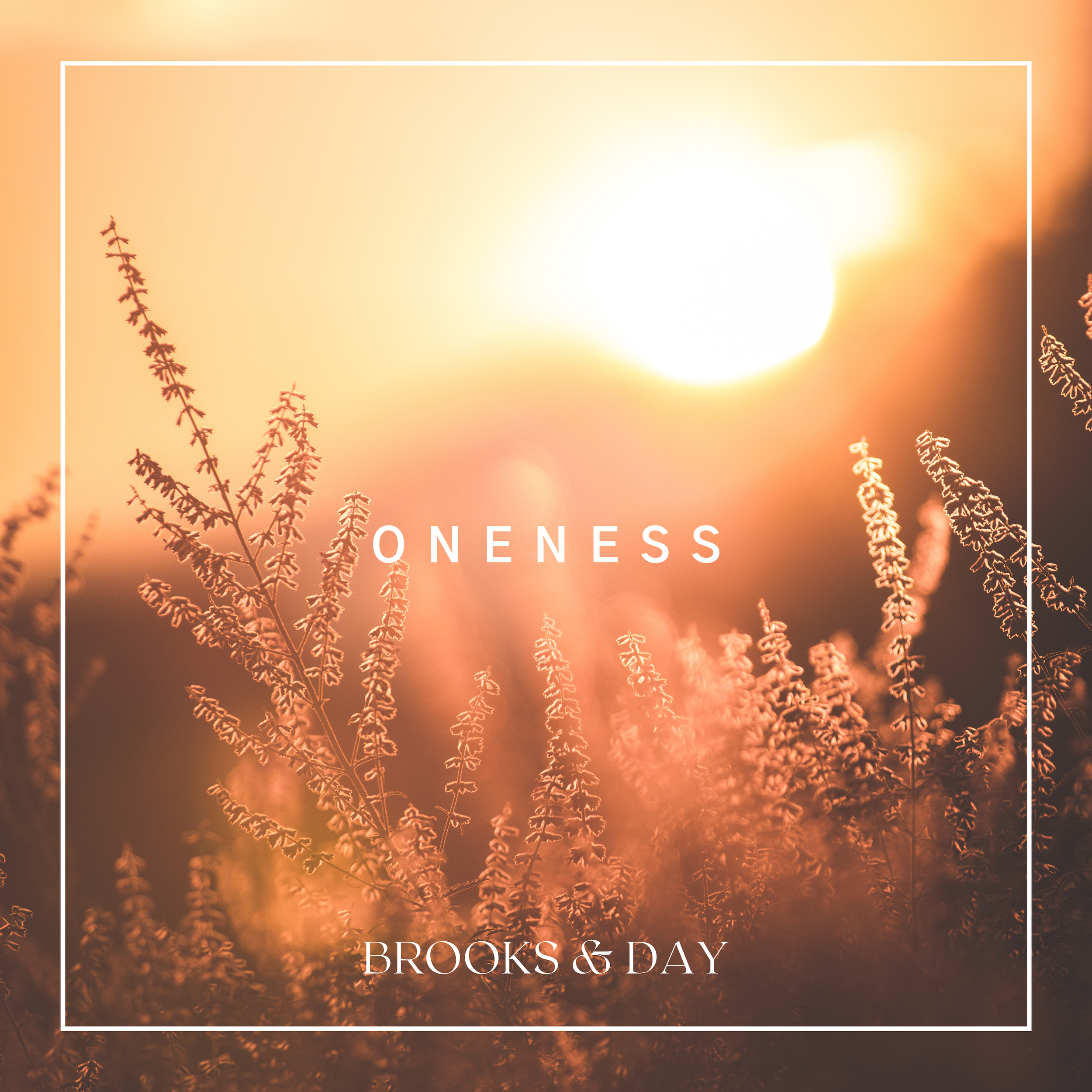 Oneness Alternate Mix: A Meditative, Passionate Journey