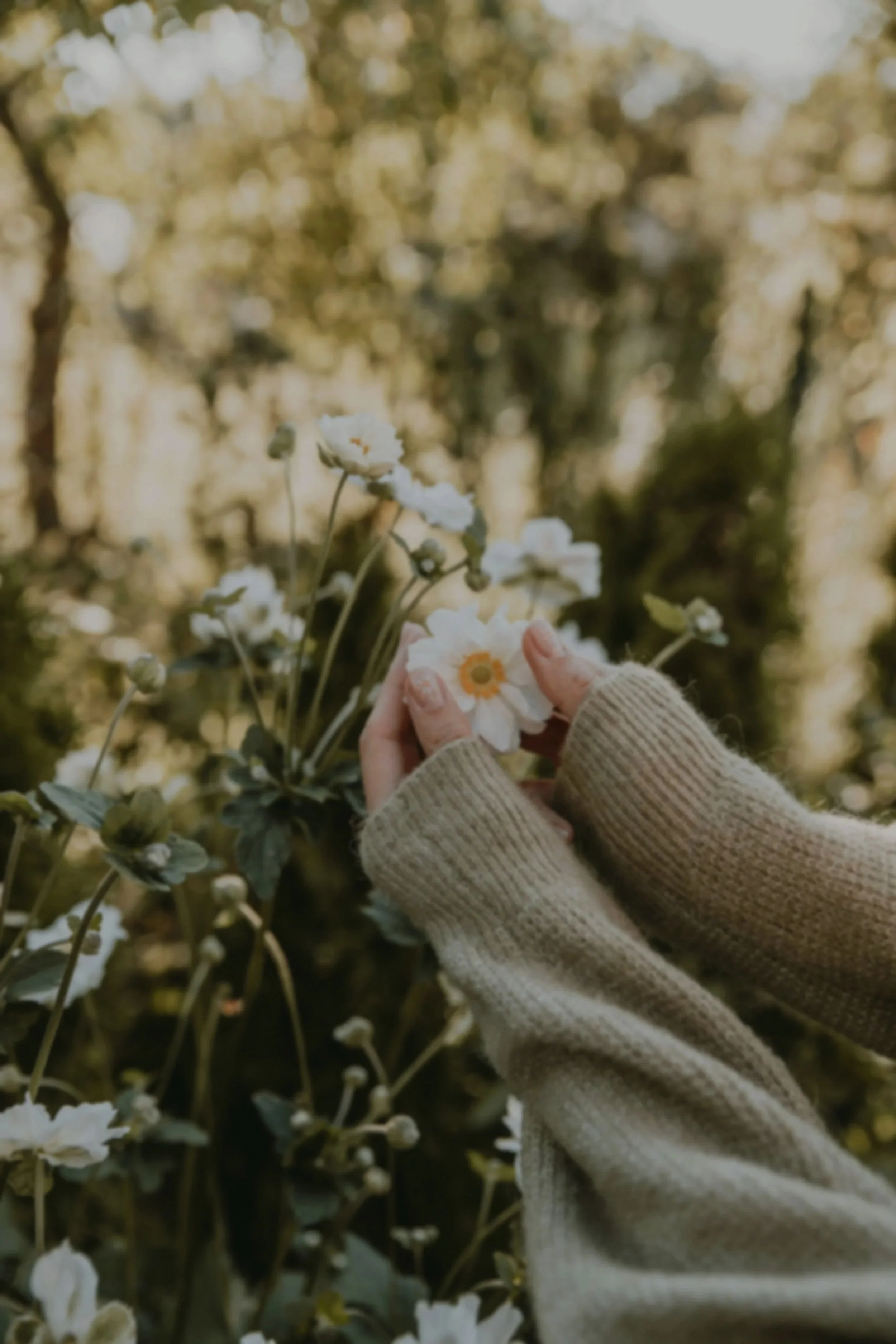 anita-austvika-kLVwGqXbKdE-unsplash.jpg