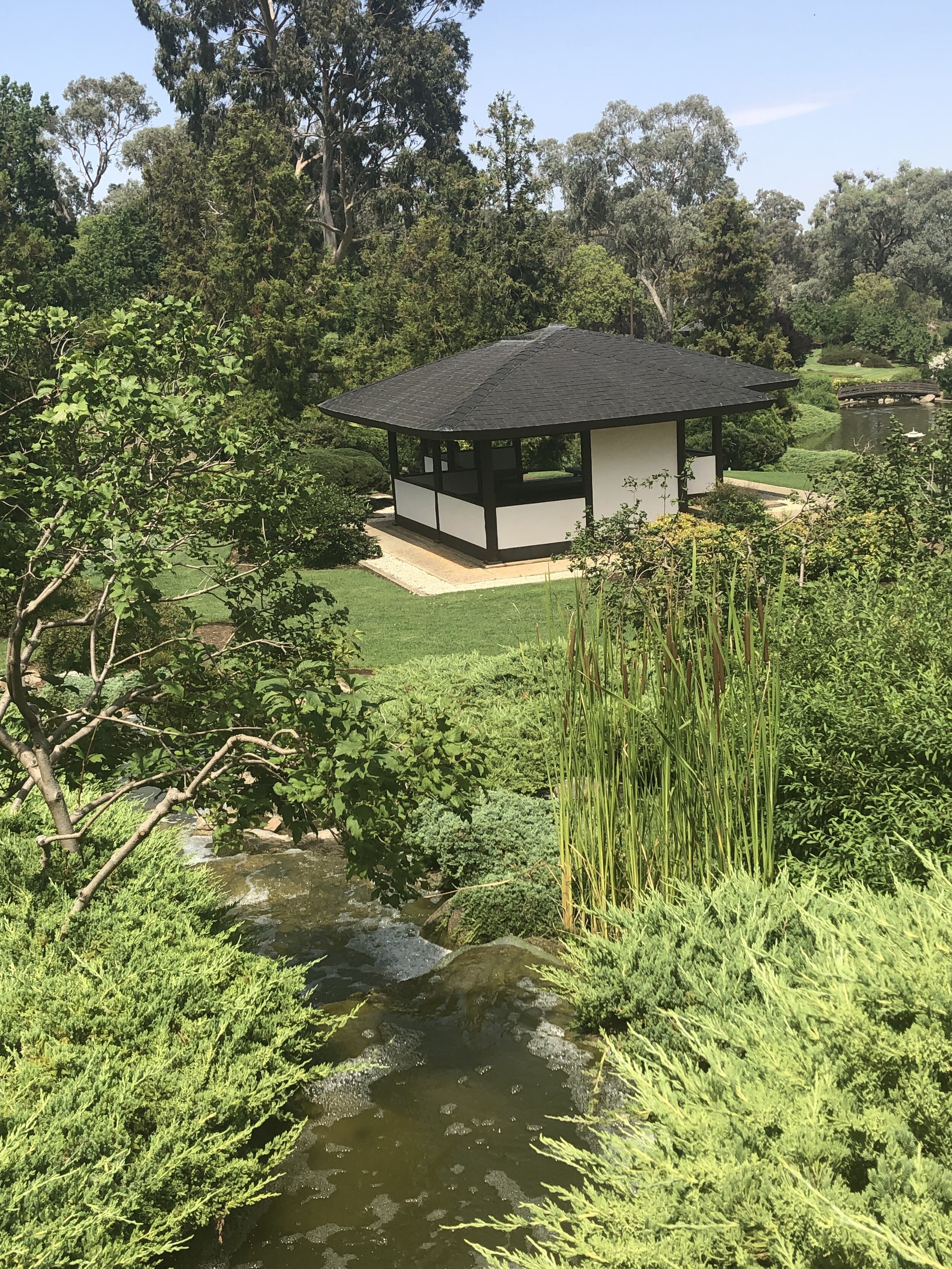 Cowra Japanese Garden #2 January 2019.jpg