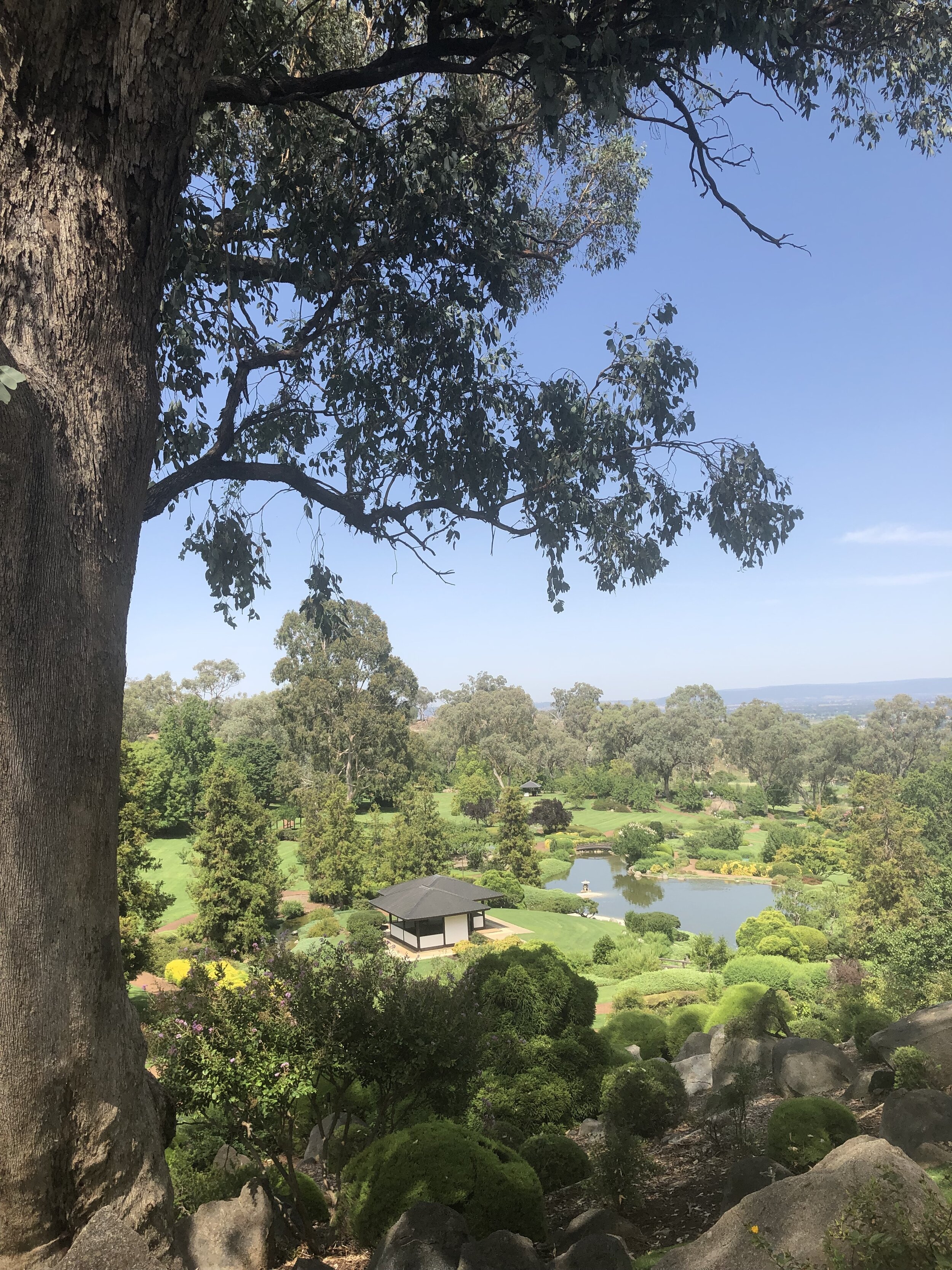 Cowra Japanese Garden January 2019.jpg