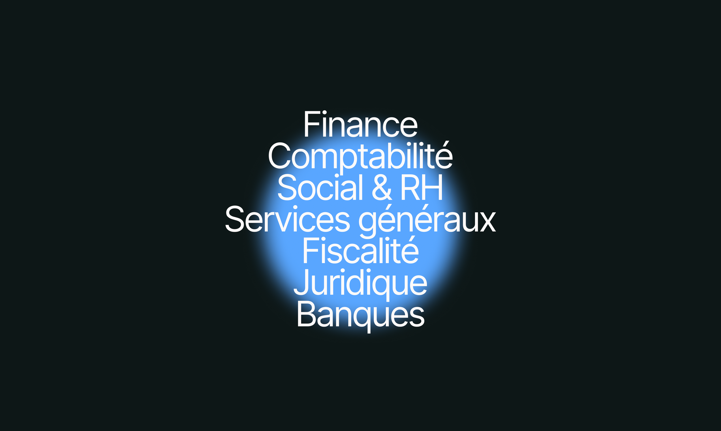 Liste des secteurs d'activité en français, comprenant Finance, Comptabilité, Social & RH, Services généraux, Fiscalité, Juridique, Banques, avec un effet lumineux autour du texte.