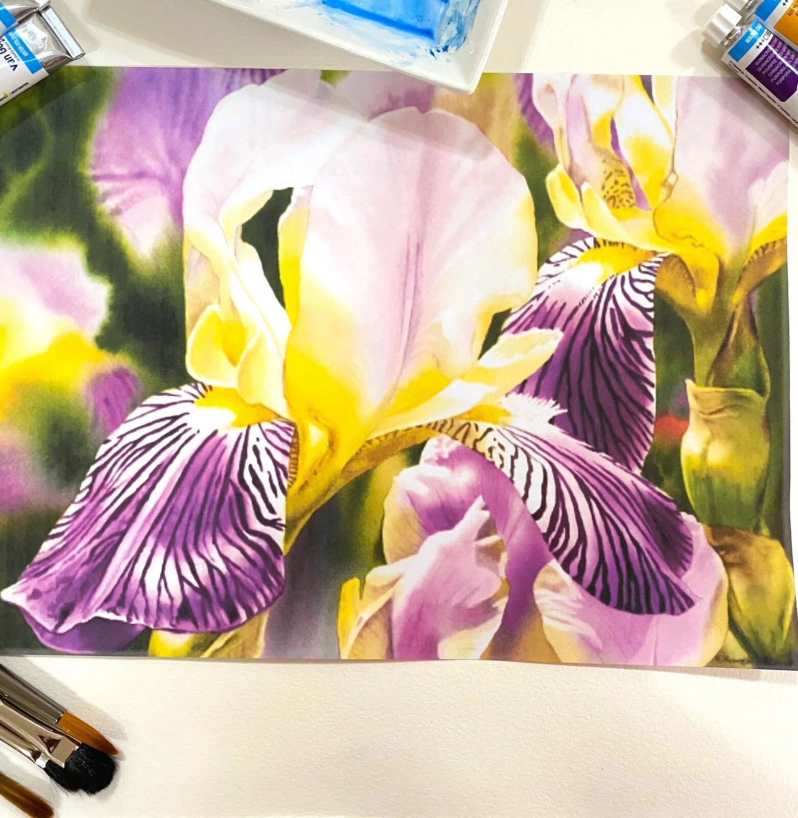 Watercolor Basic Workshop by Pallavi,March 7,2020