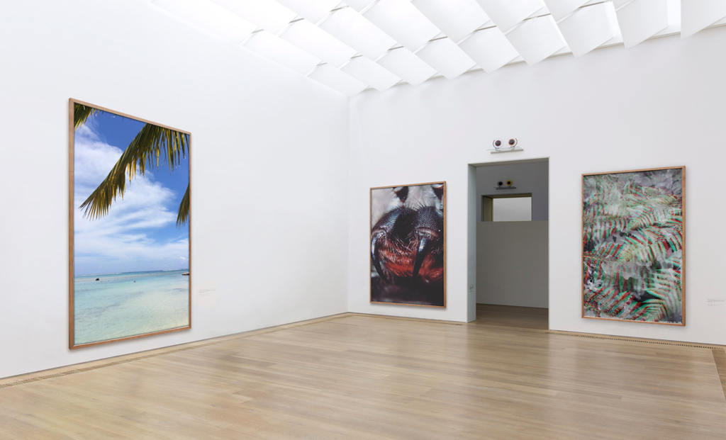 Project Gallery_James Little_SS18.jpg