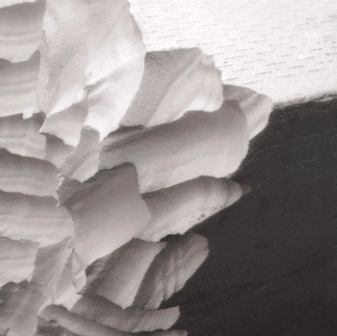 FRONT.gif