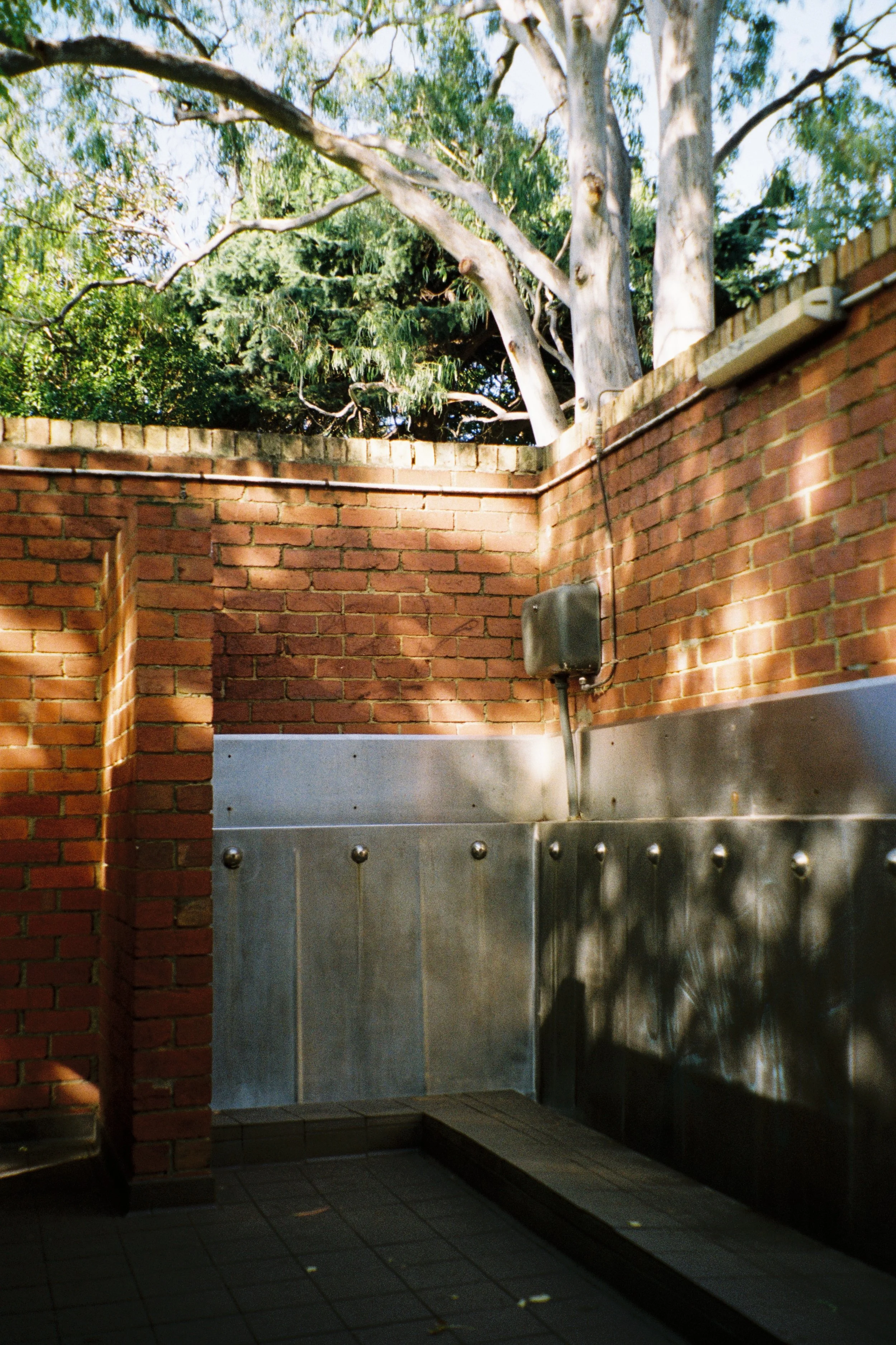 Some Kind Of Heaven.JPG