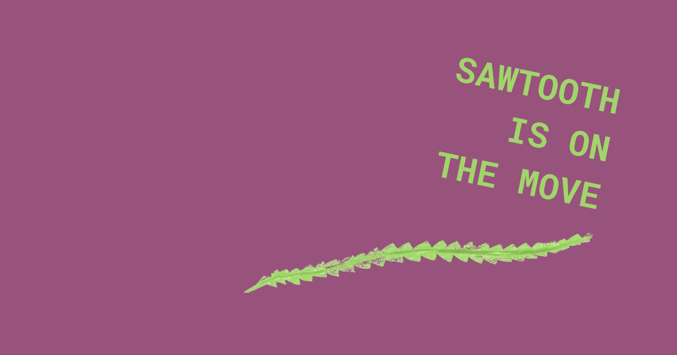SAWTOOTH ON THE MOVE BANNER.png