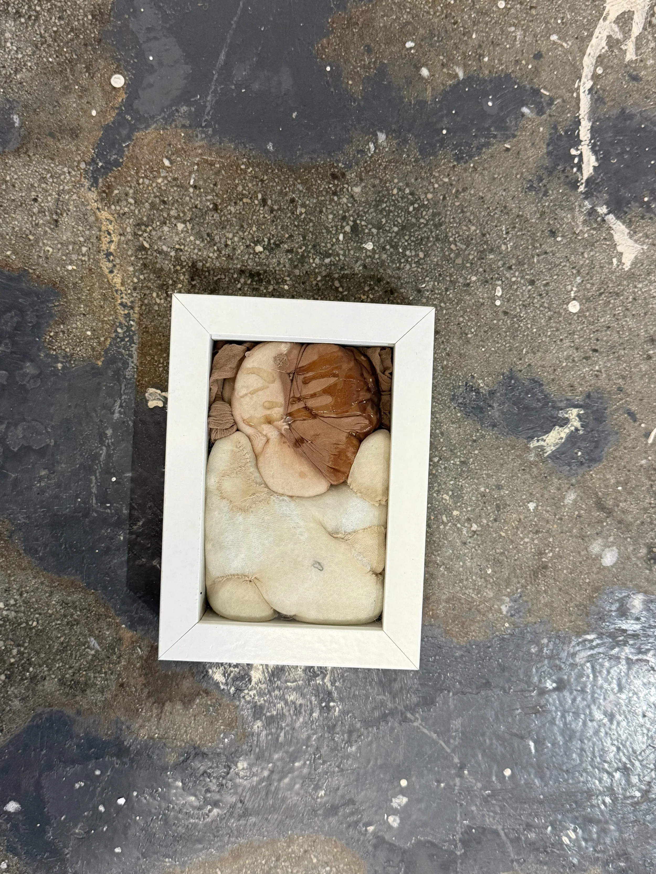 IMG_7656.jpeg