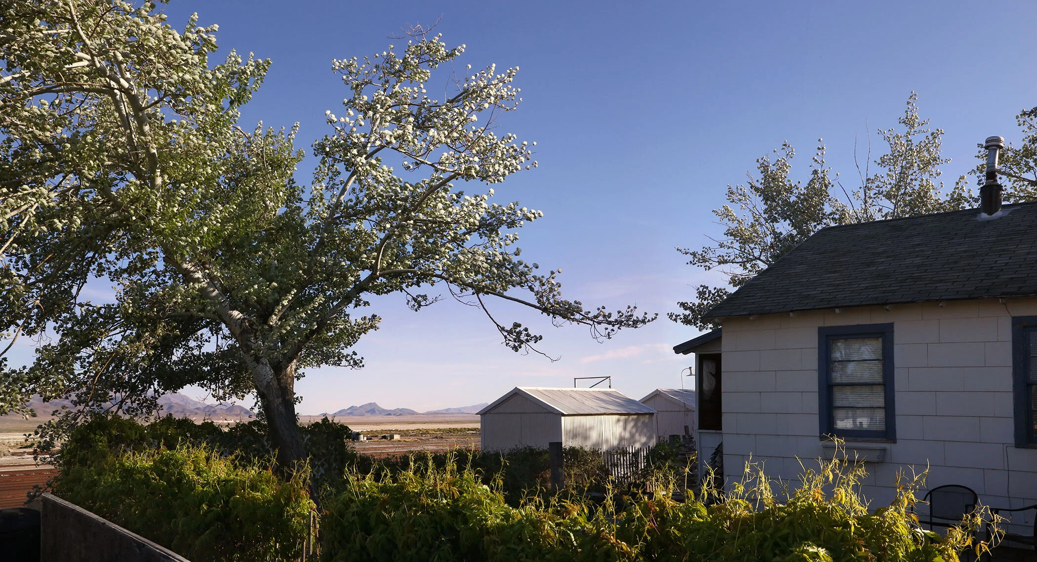 330 El Tren, Gerlach NV