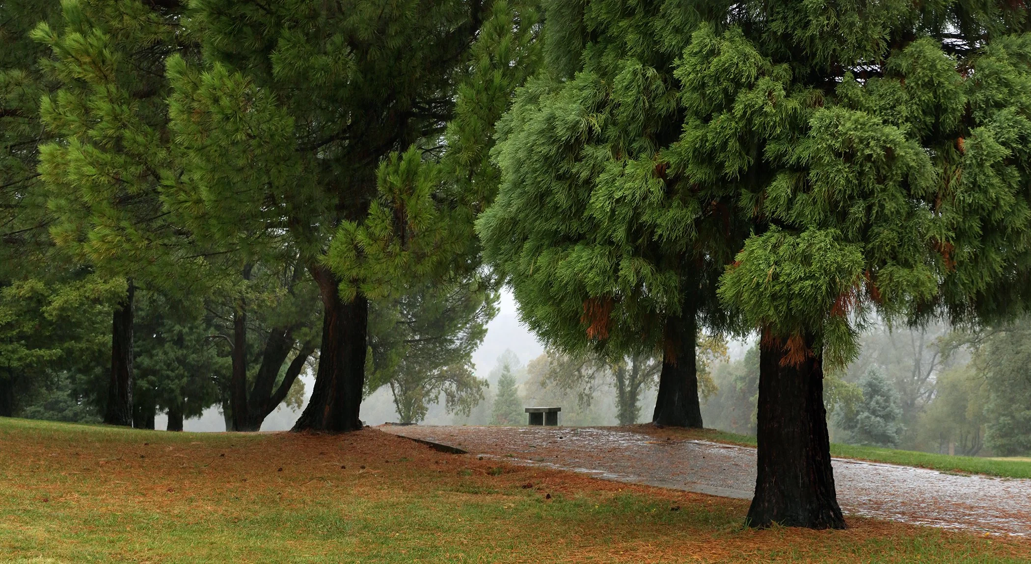 New Auburn Cemetery in Rain