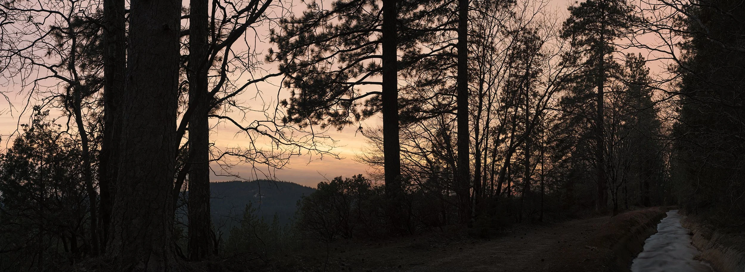 Dutch Flat West 16173