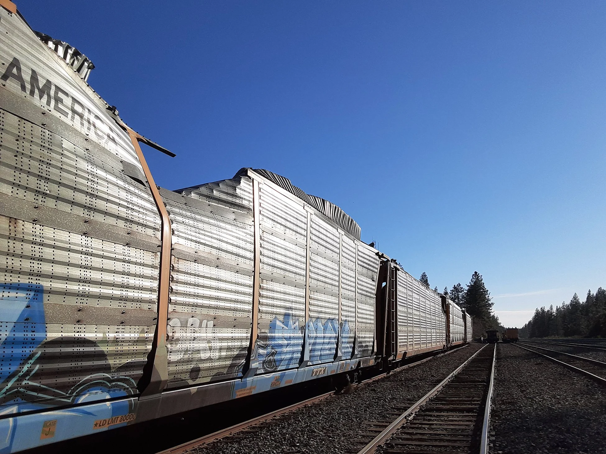 Wrecked Auto Racks at Colfax