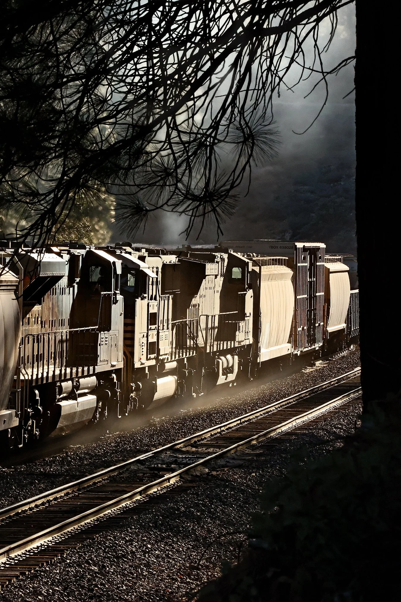 Train Through Forest