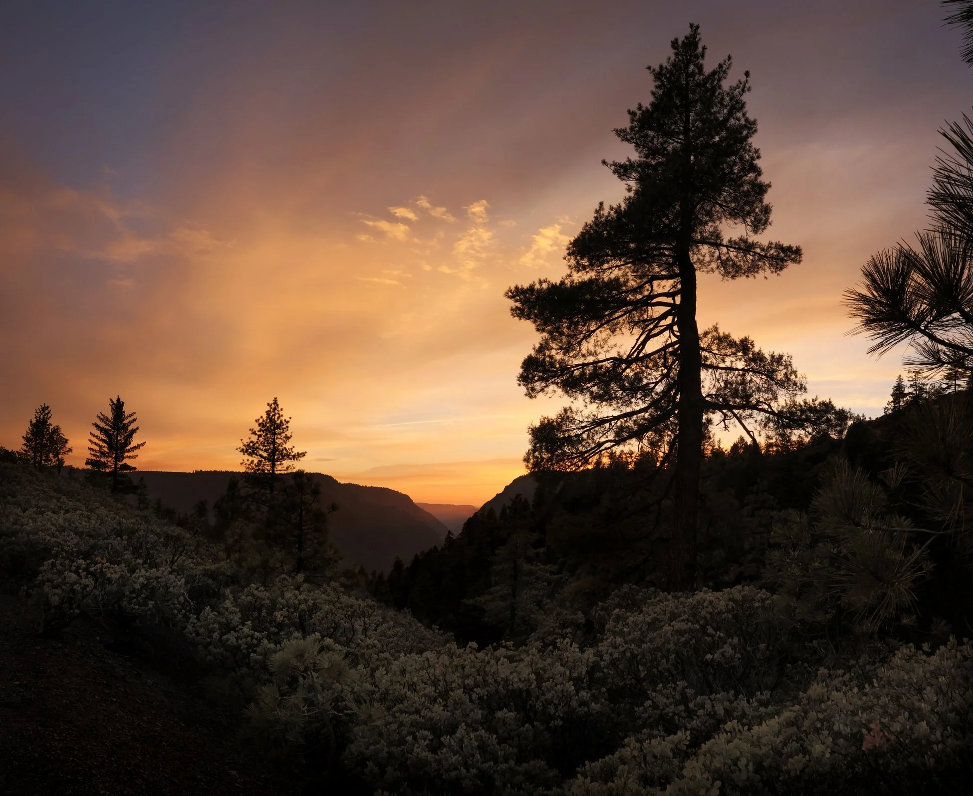 Giant Gap Evening Landscape