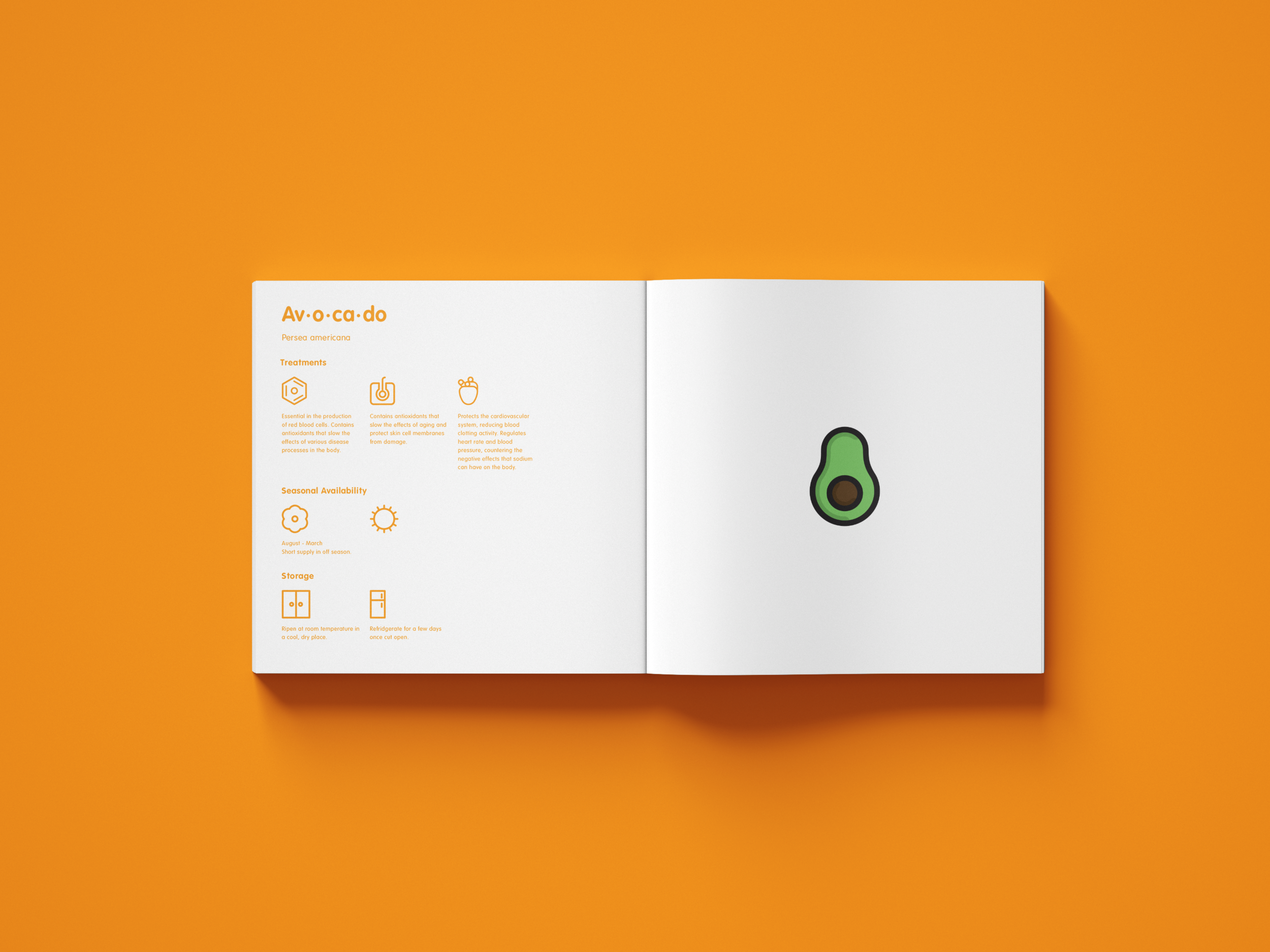 avo.png