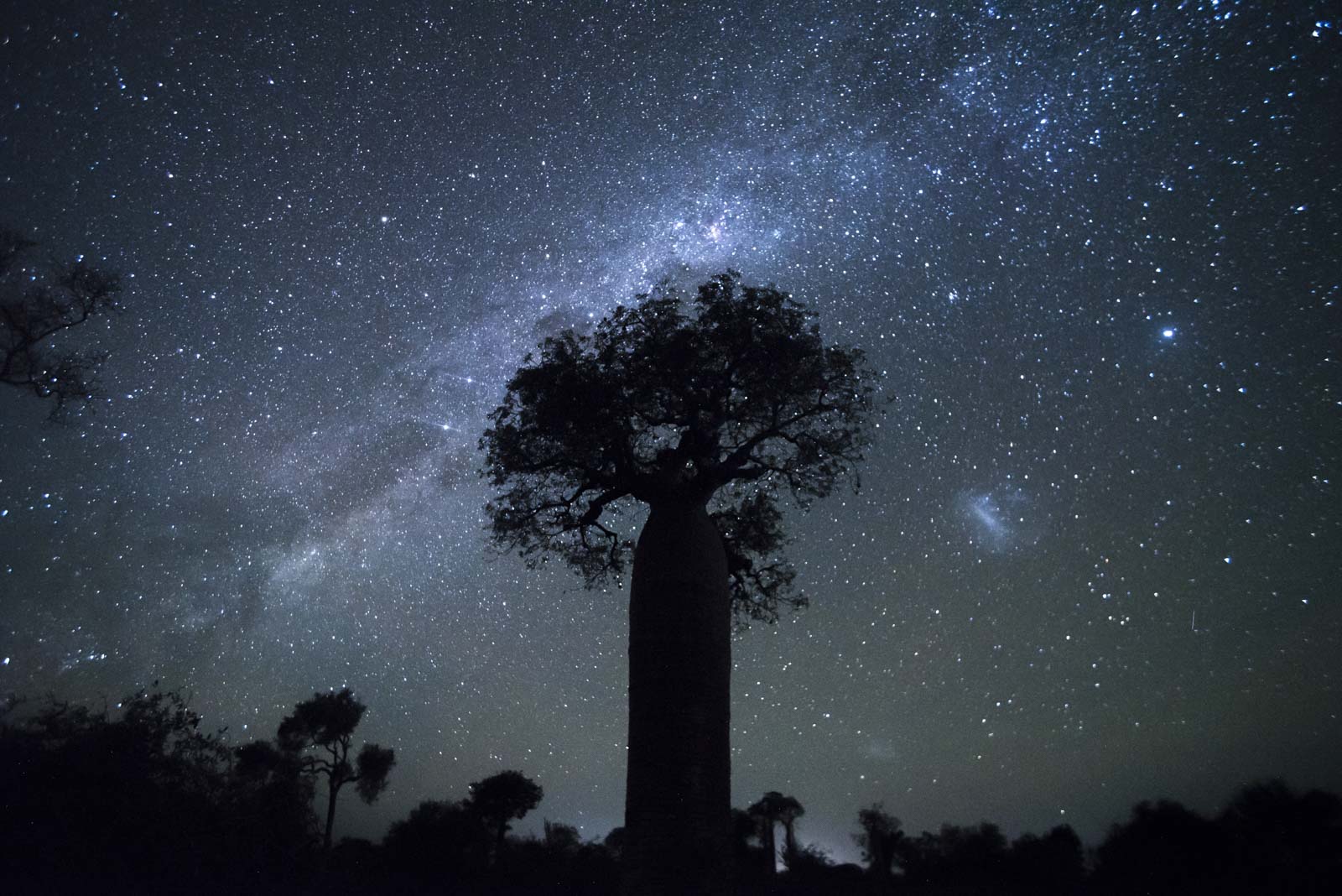 Madagascar travel photography 003, Ifaty, Madagascar by travel photographer Matthew Williams-Ellis.jpg