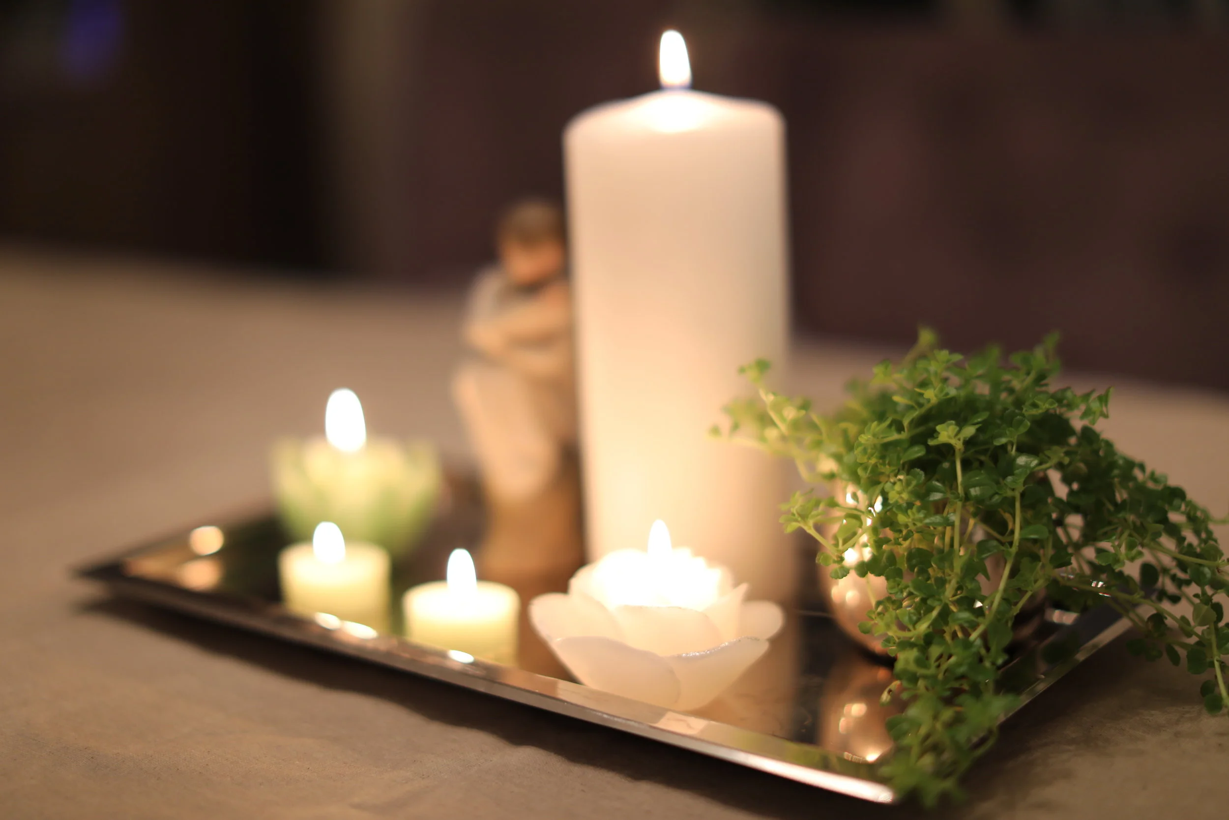 Pilea `Hanne`på lysfat.