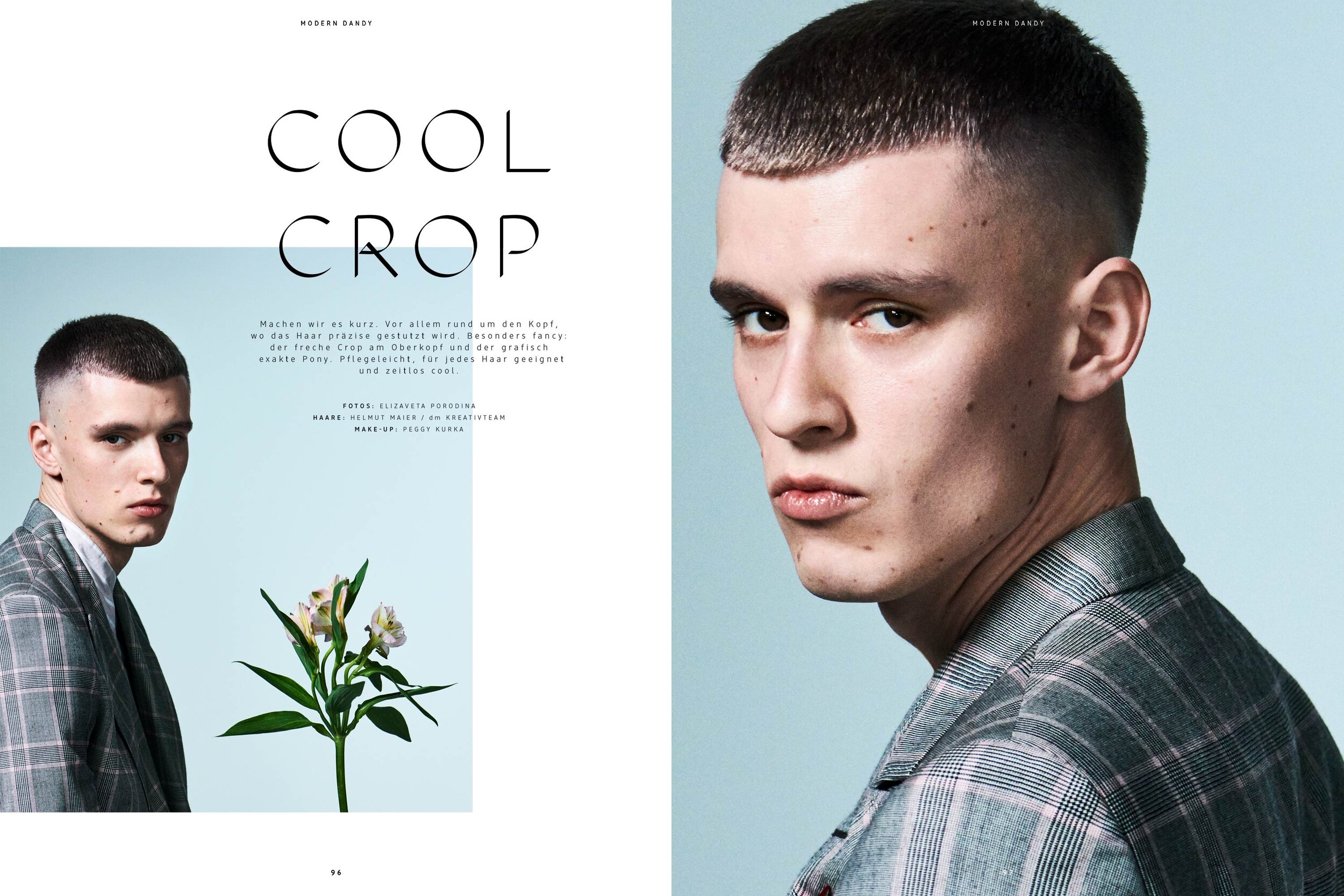 dm Trendbook