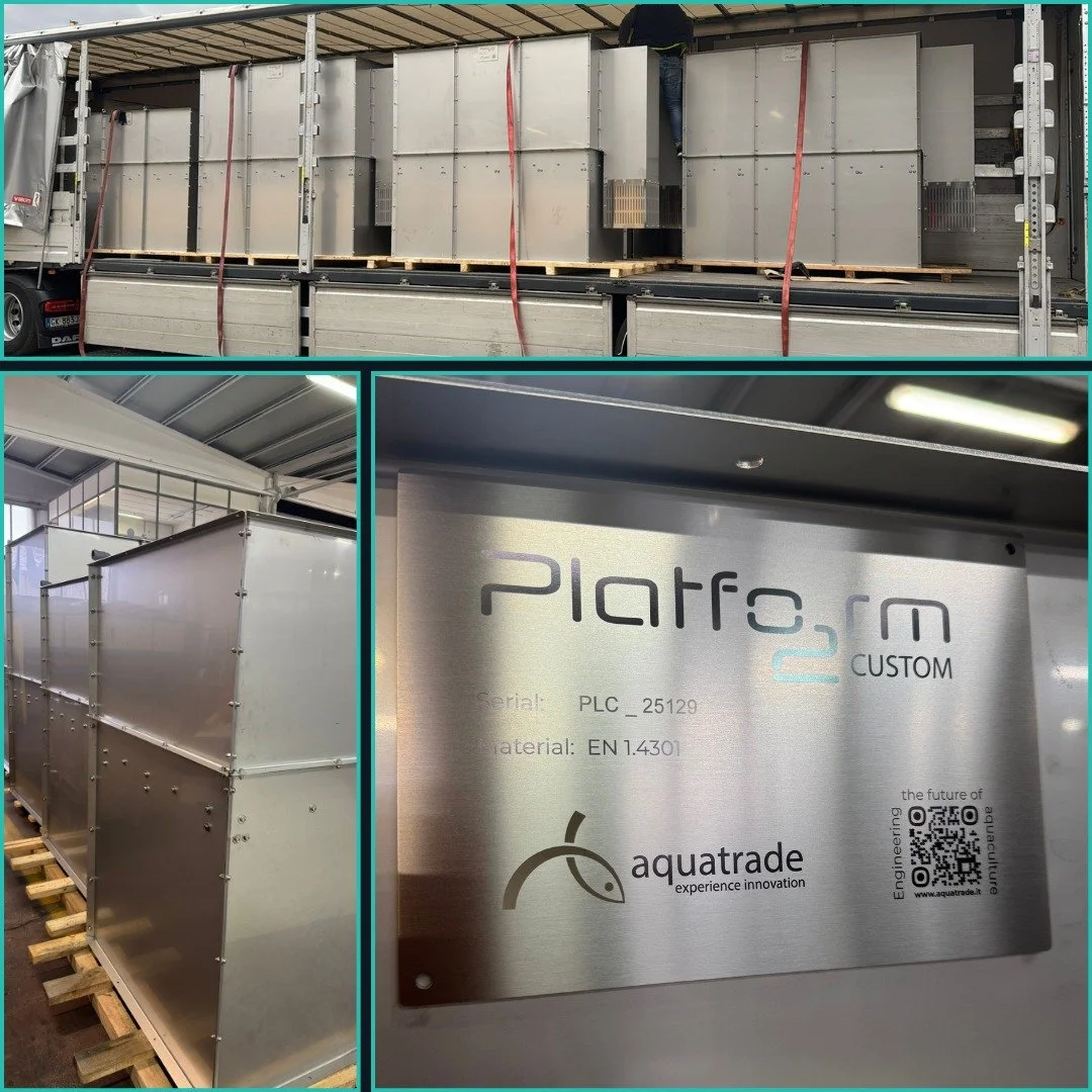 🌊 L&rsquo;efficientamento delle risorse parte da come progetti, non solo da cosa installi.

All&rsquo;interno del nostro Oxygen Program, efficientare significa ridurre i costi, ottimizzare le prestazioni e progettare strutture che lavorano con l&rsq