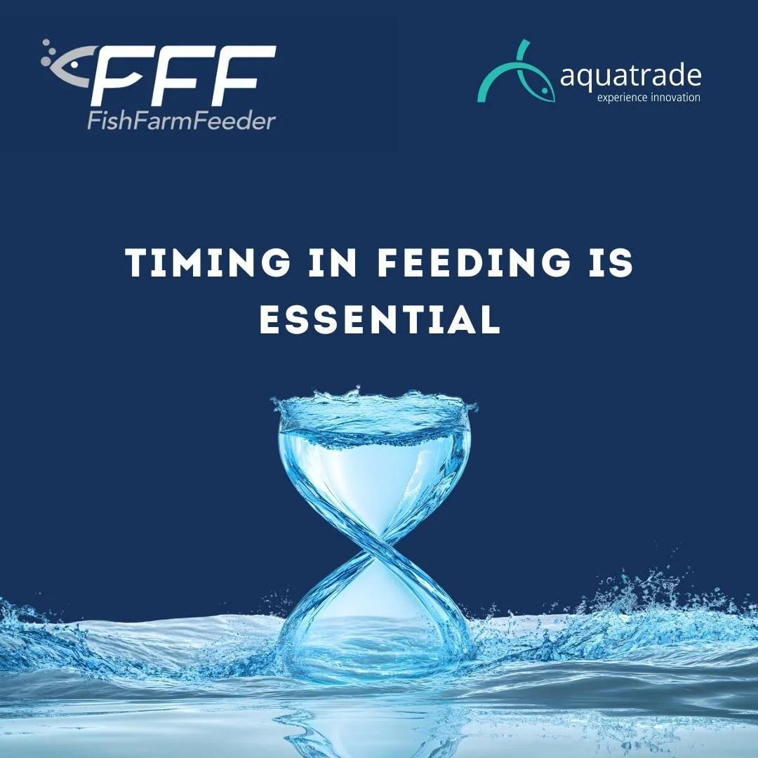 Automation doesn&rsquo;t replace people.
It replaces guesswork.

FFF feeding systems help farmers deliver the right amount of feed at the right time&mdash;consistently.

Better growth, fewer fluctuations, clearer data.
Because fish don&rsquo;t thrive