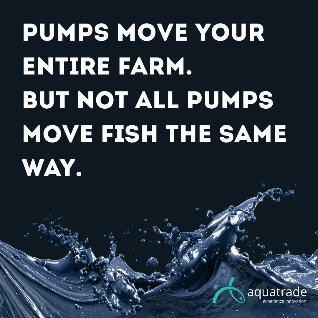 A well-sized, efficient pump reduces energy consumption, protects oxygen levels, and keeps hydraulics stable.

Choosing the right pump is not about power.
It&rsquo;s about precision.

IT

Una pompa dimensionata ed efficiente riduce i consumi, protegg