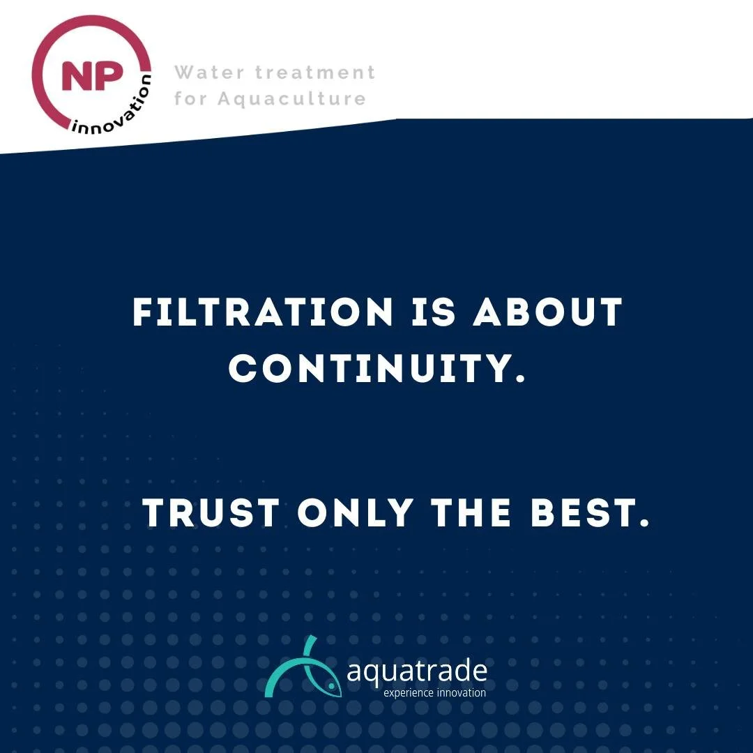 Filtration is not about clarity.
It&rsquo;s about continuity.

NP Innovation drum filters protect water quality by reducing solids.
Clean water is a necessity.

IT
La filtrazione non riguarda la trasparenza.
Riguarda la continuit&agrave;.

I filtri a